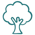 nature icon