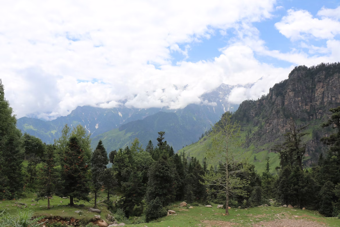Green pine forests and misty mountain ranges in the Manali valley under a cloudy sky.