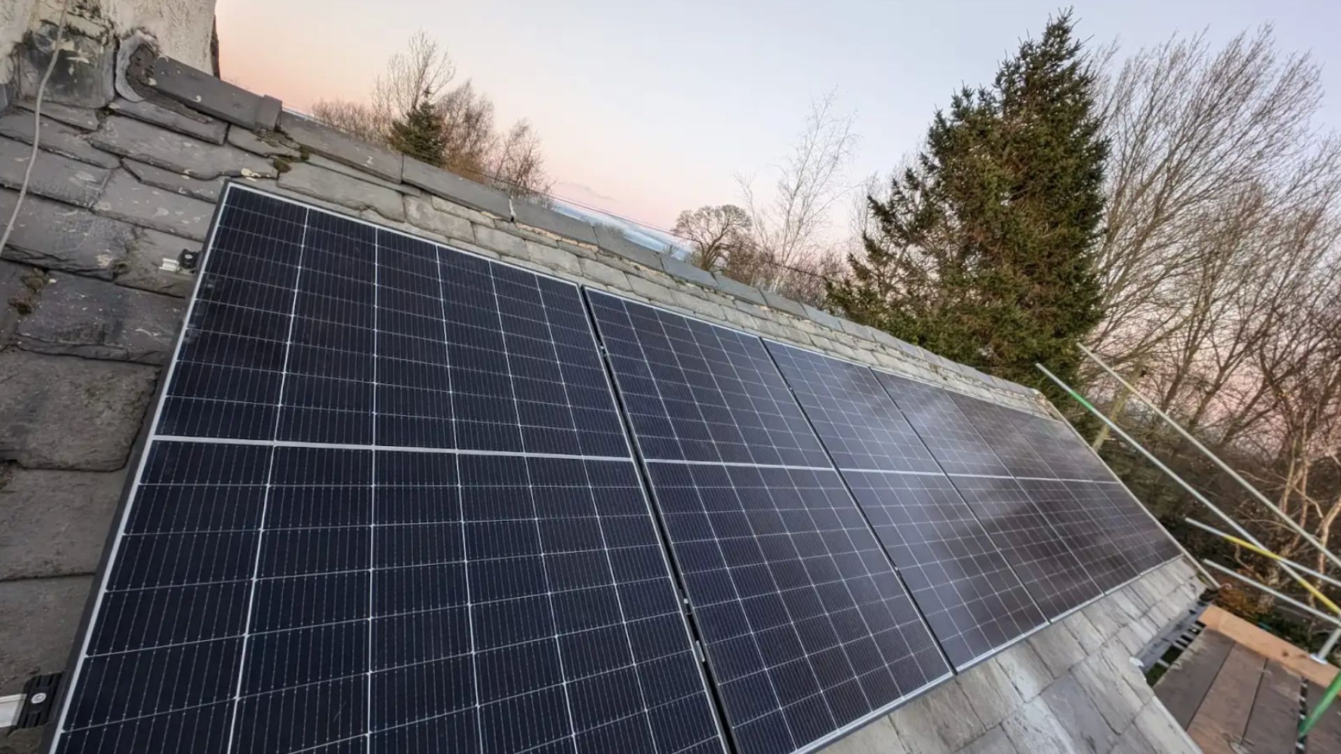 Specialist Divisions