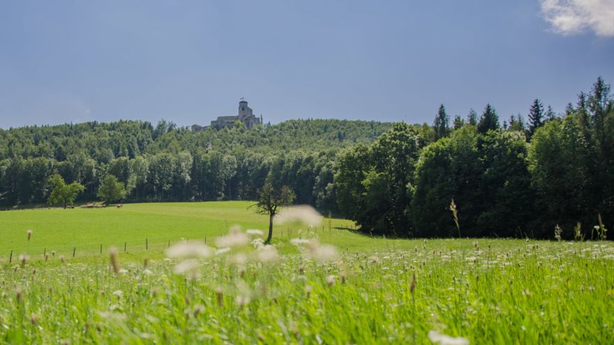 Blick auf die Araburg im Wienerwald