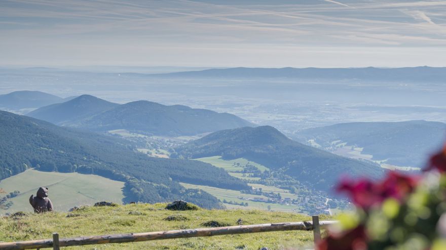 Aussicht von der Geländehütte bei Grünbach
