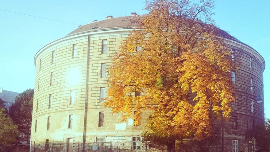 Narrenturm, Außenansicht mit Baum
