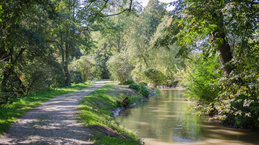 Anfang des Naturlehrpfads in der Leitha-Au in Katzelsdorf
