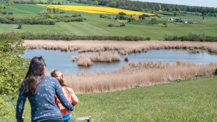 Blick auf das Zentrum im Naturschutzgebiet Teichwiesen