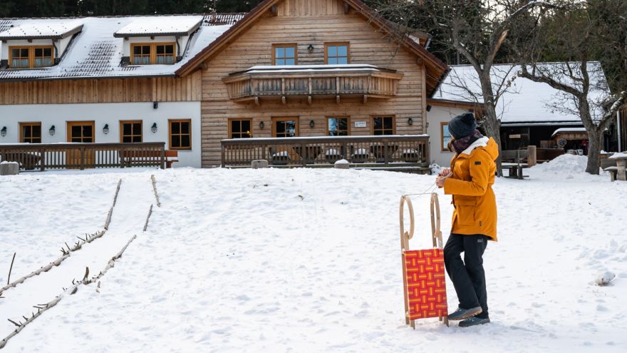 Rodeln bei der Hengsthütte