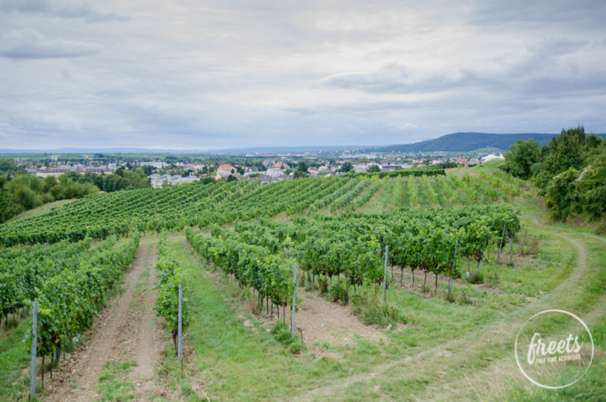 Genussmeile, Aussicht über die Gegend