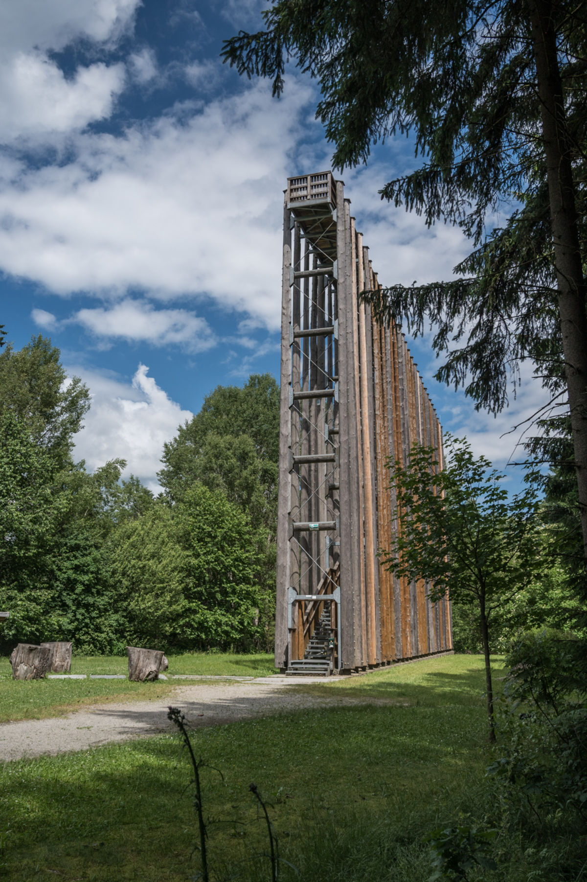 Himmelsleiter von unten am Naturparkweg durchs Hochmoor Schrems
