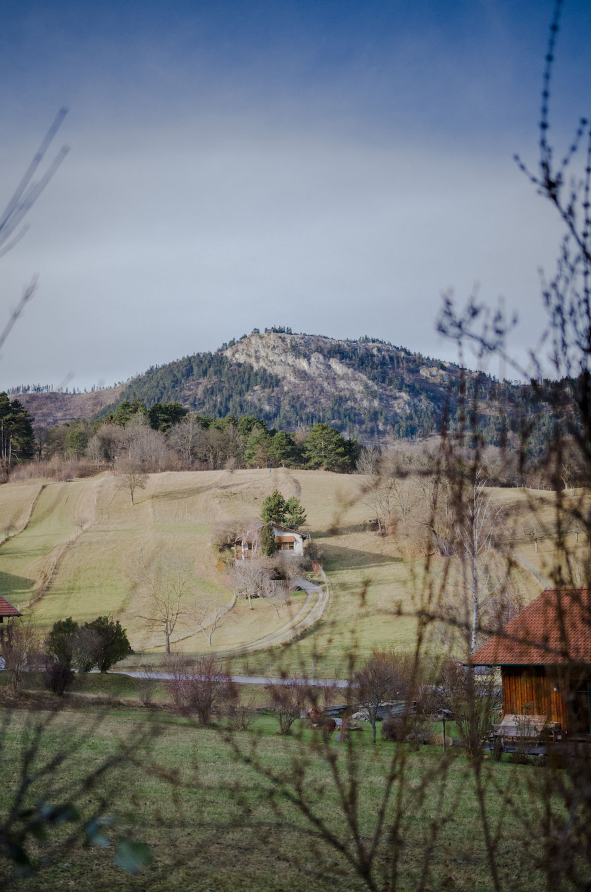 Hubertusrunde Schrattenbach Gelände
