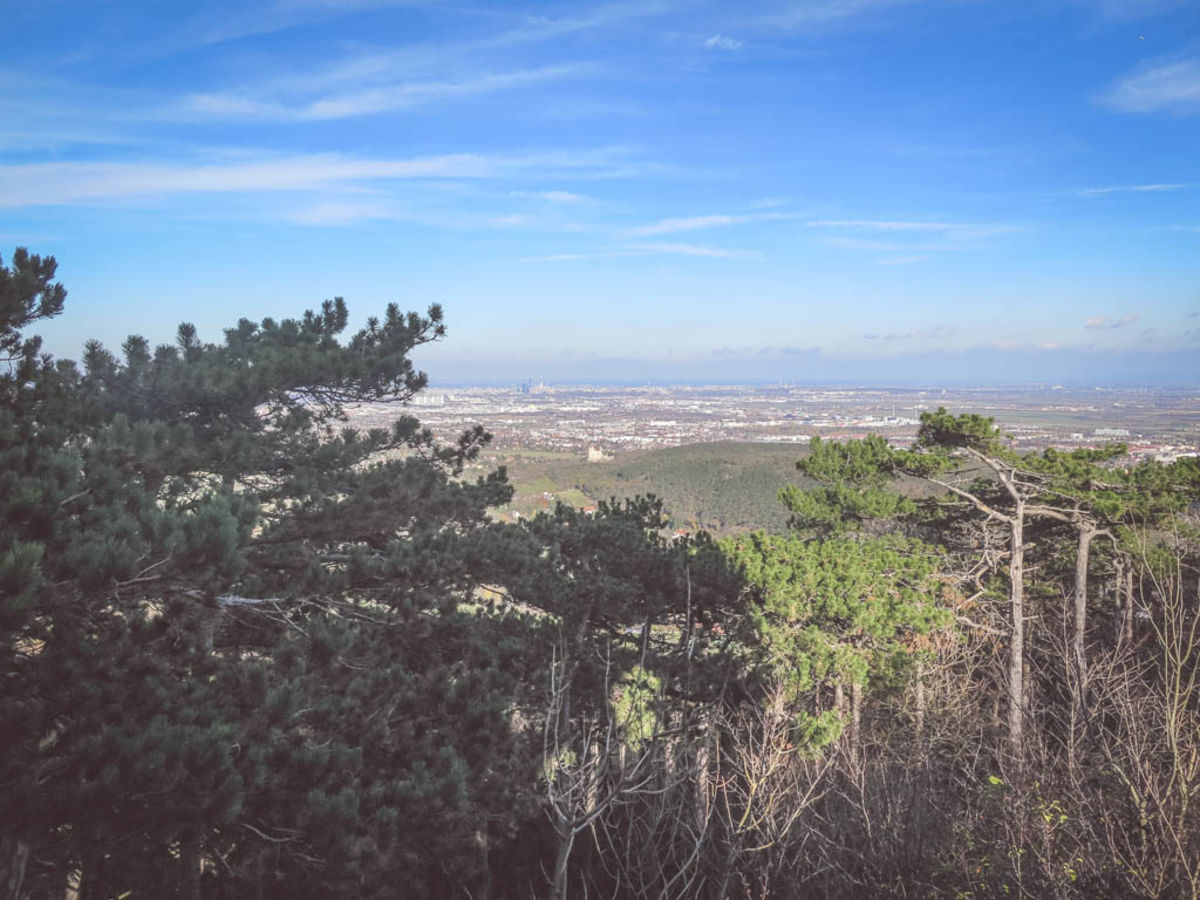 Aussicht vom Husarentempel Mödling bei Wien