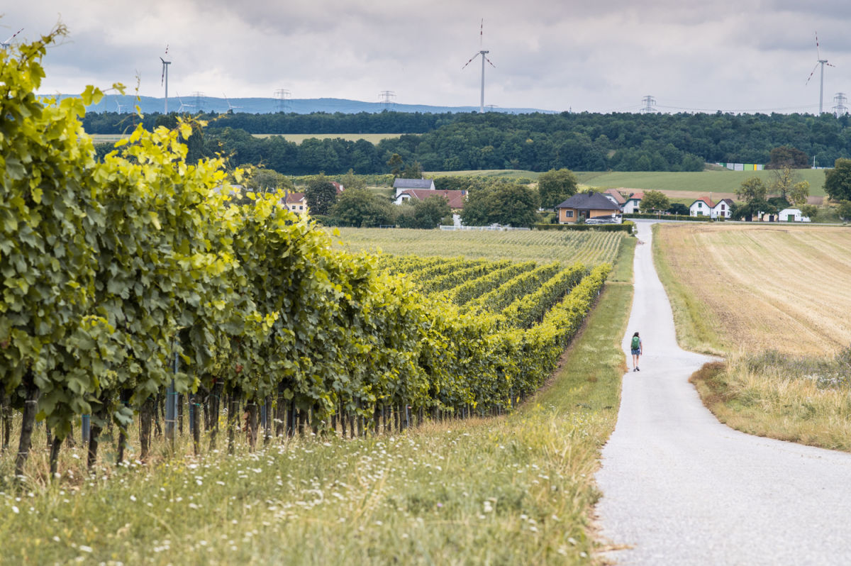 wandern auf der VIA VINUM bei Göttlesbrunn