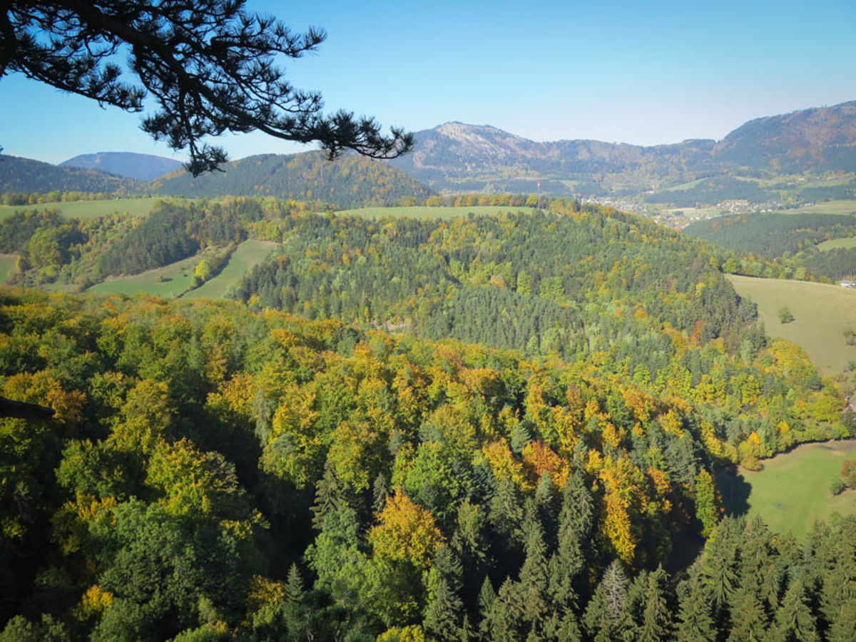Ruine Schrattenbach Aussicht von der Ruine Schrattenbach