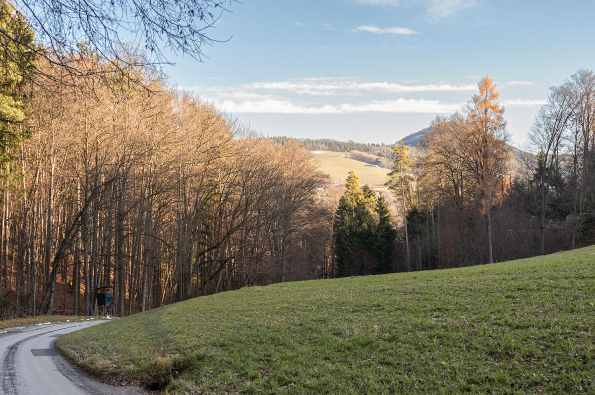 Wanderweg Kulmriegel Weg beim Wandern zur Burg Grimmenstein am Kulmriegel