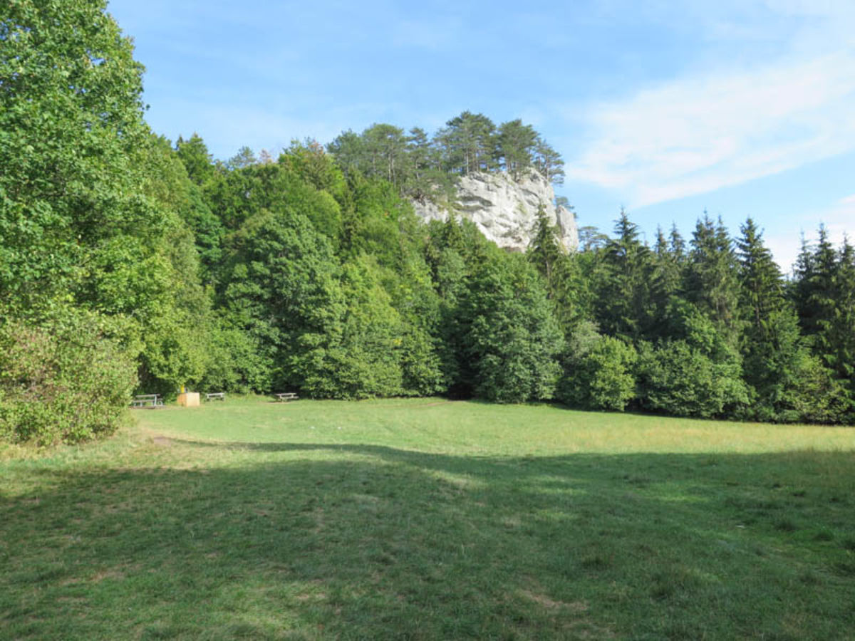 Wiese beim Haustein am Wanderweg Myrafälle
