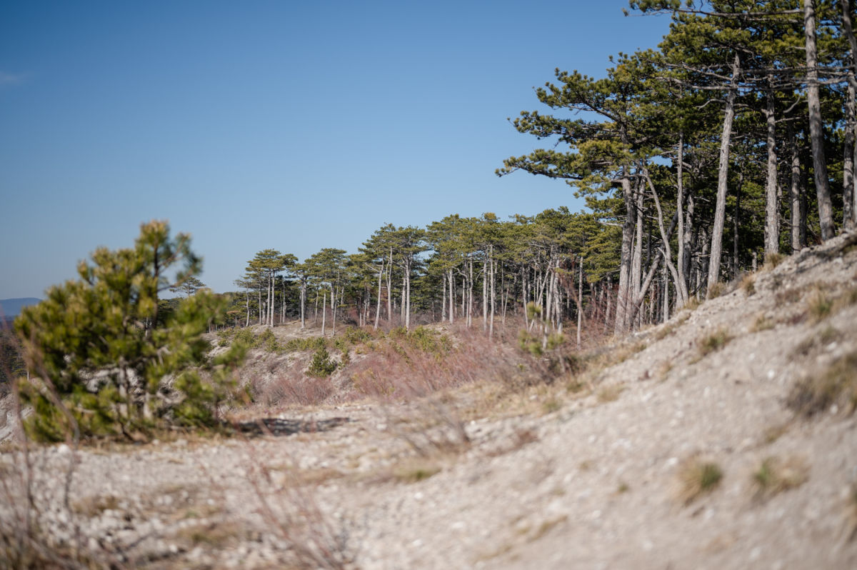 Wanderung zur Vöslauer Hütte