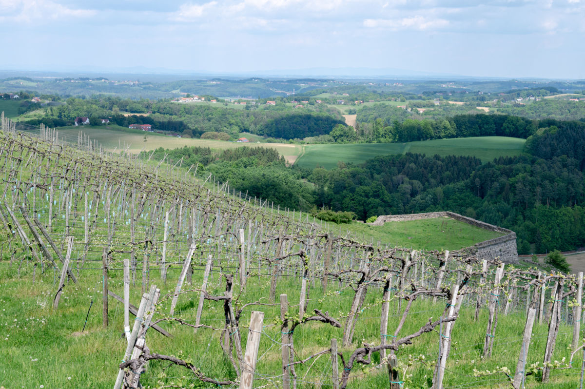 Blick von der Riegerburg
