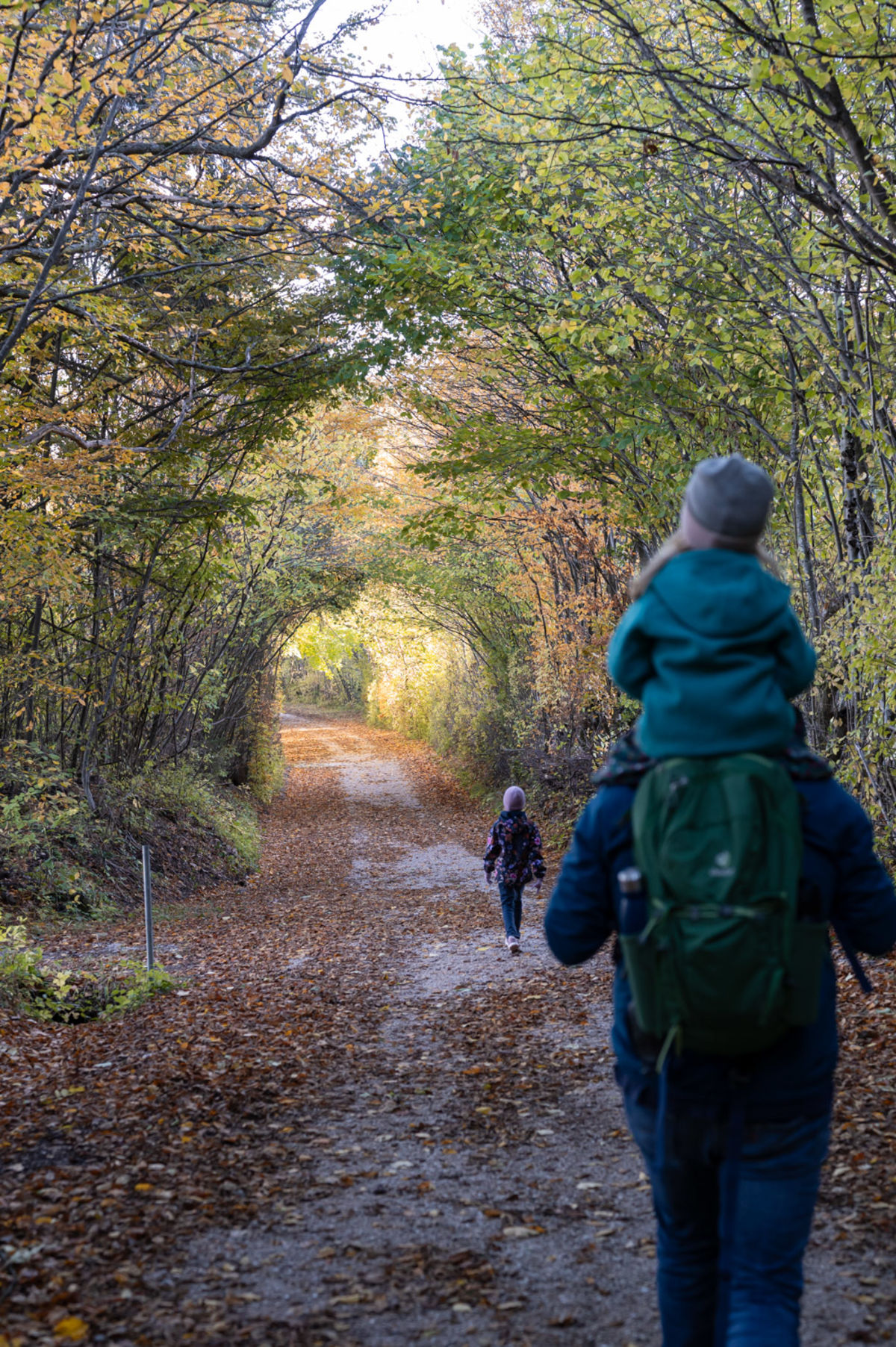 Weg in Richtung Dreistetten von der Hohen Wand