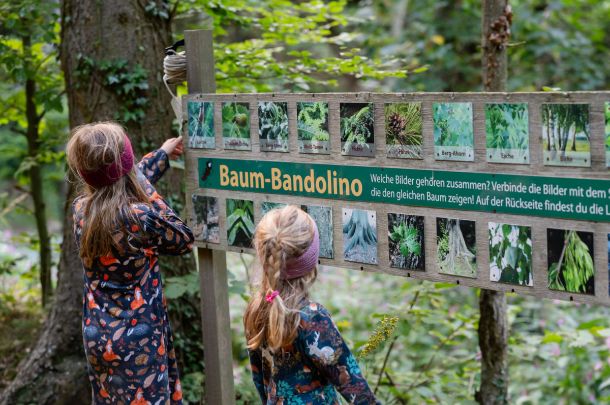 Kinder beim Baum-Bandolino am Walderlebnisweg Gschaidt