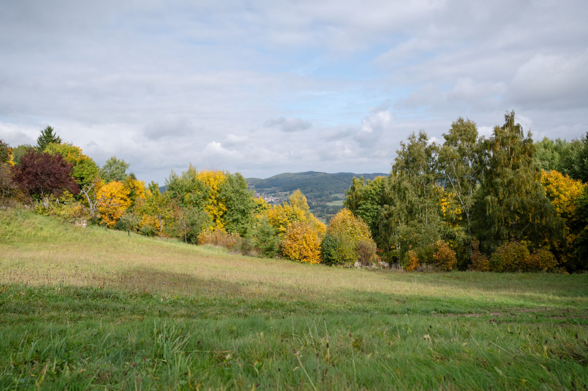 Blick bei der Kapelle von Maißen, am Nebelstein Erlebnisweg, Moorbad Harbach