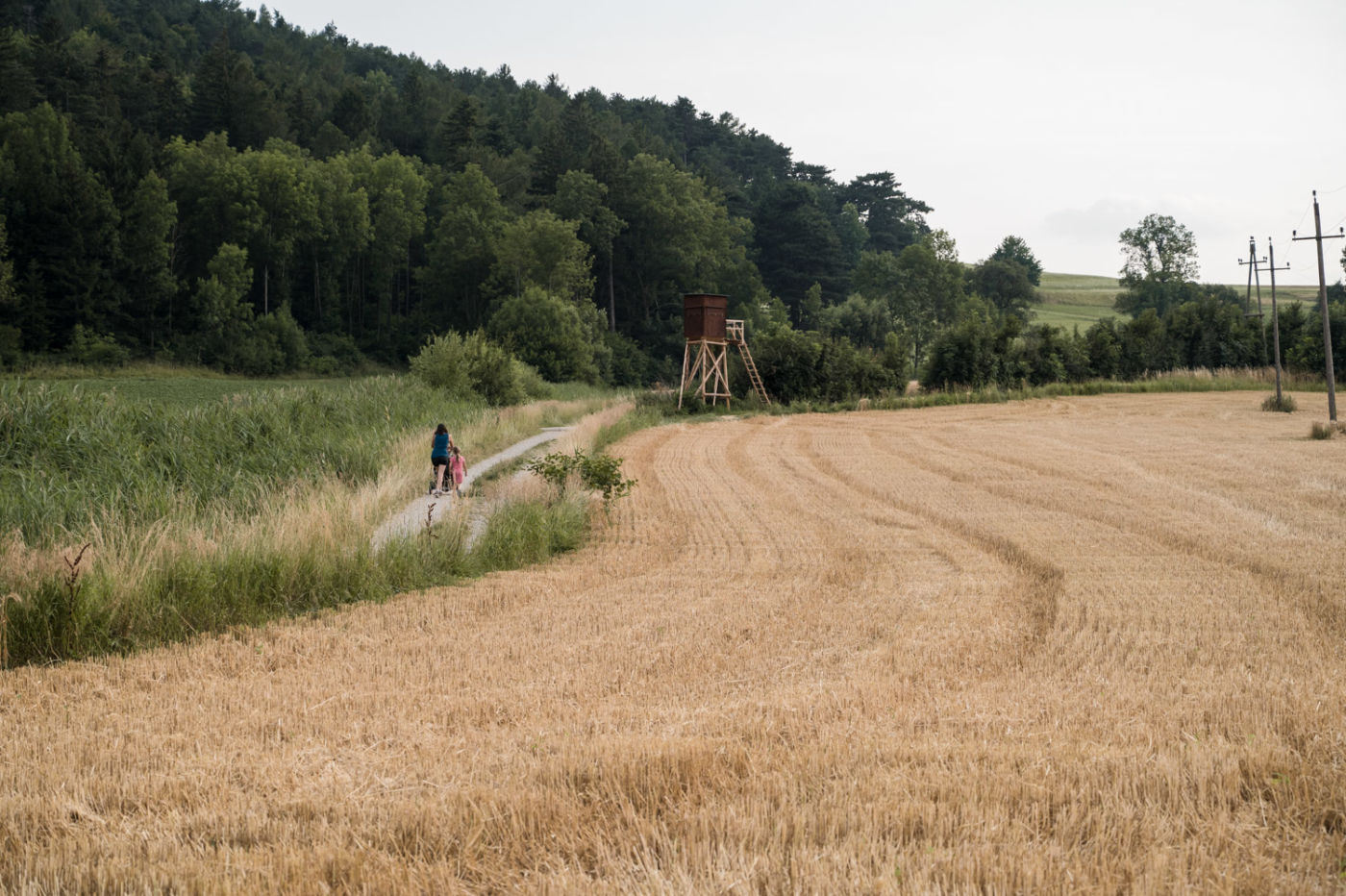 Spaziergang in den Feldern bei Zweiersdorf auf der sog. Fruchtfreunde Runde