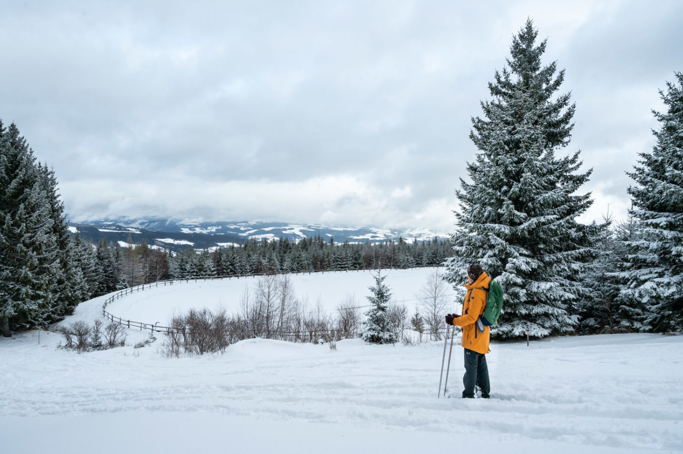 Schneeschuhwanderung als eines der Top-Wintererlebnisse in Niederösterreich