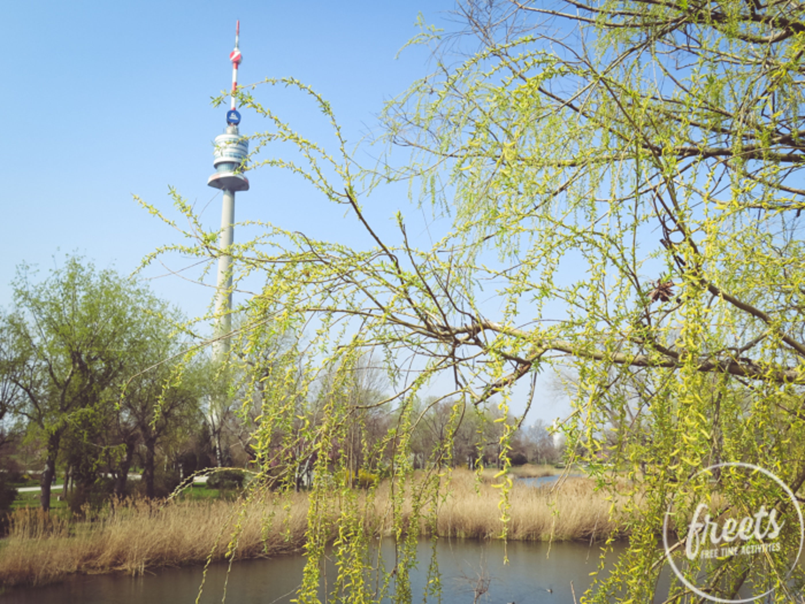 Blick auf den Teich im Donaupark mit Donauturm im Hintergrund