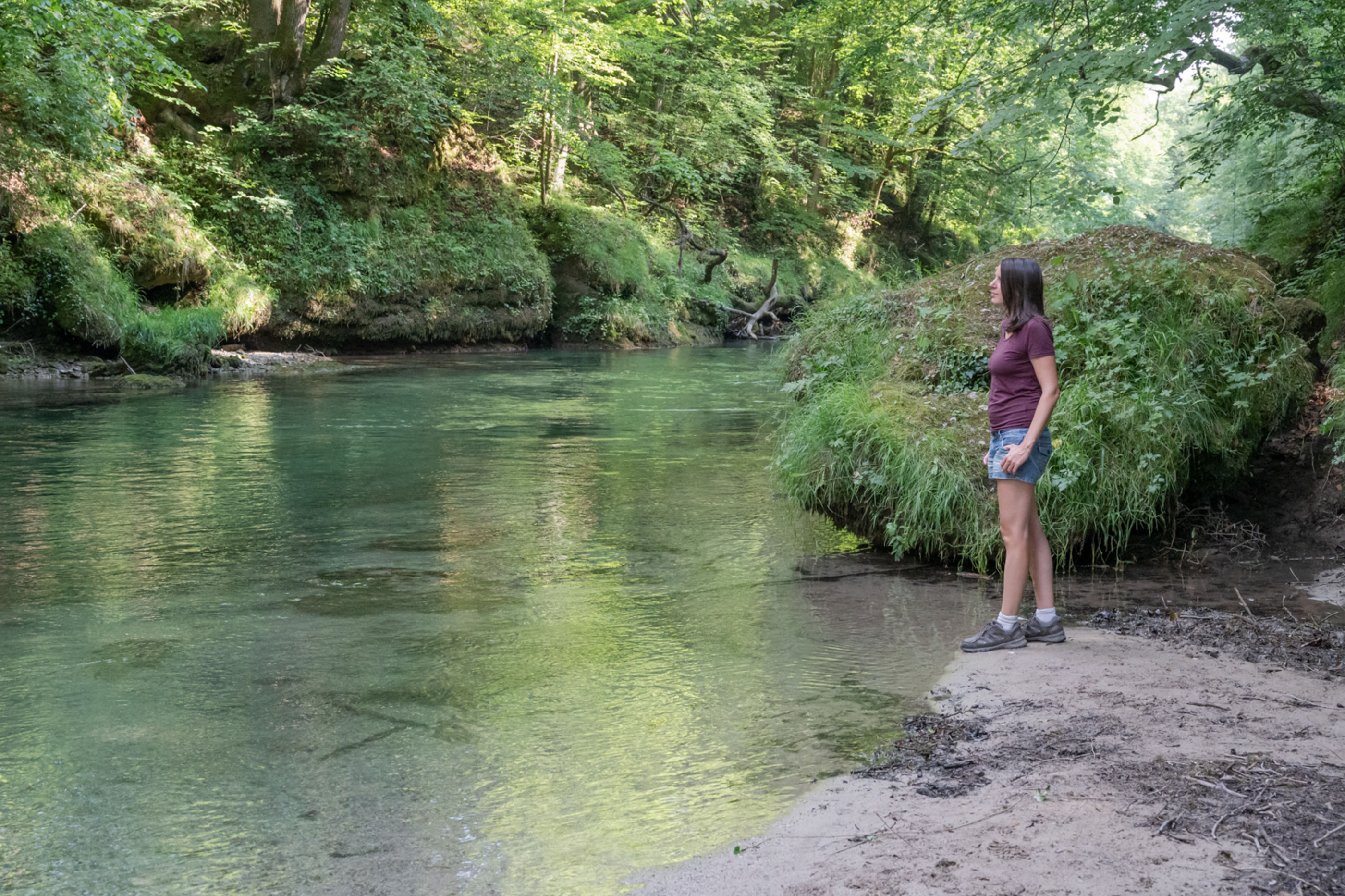 Blick auf die Erlaufschlucht am Ufer der Erlauf