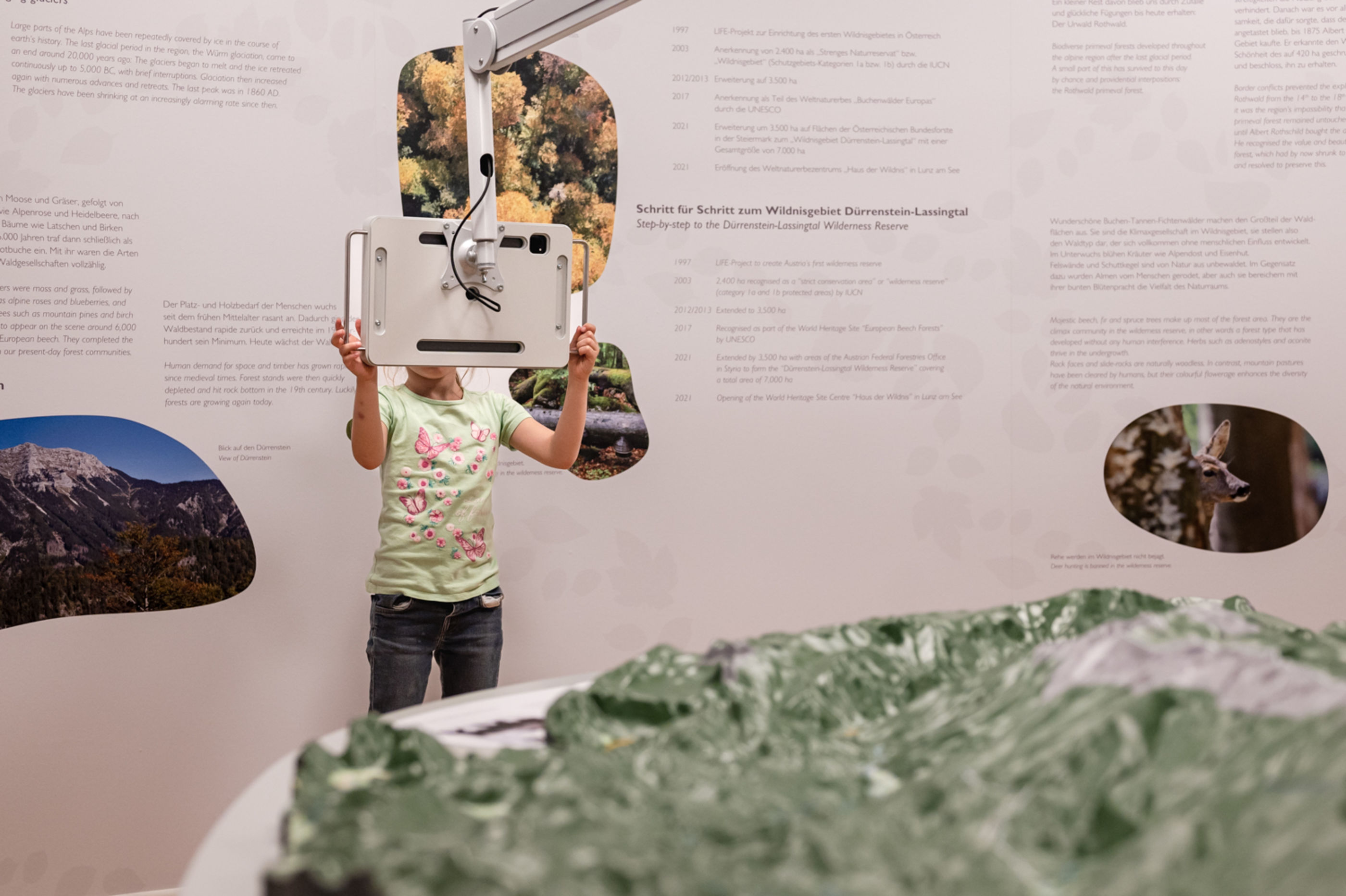 Ausstellungsraum im Haus der Wildnis in Lunz am See