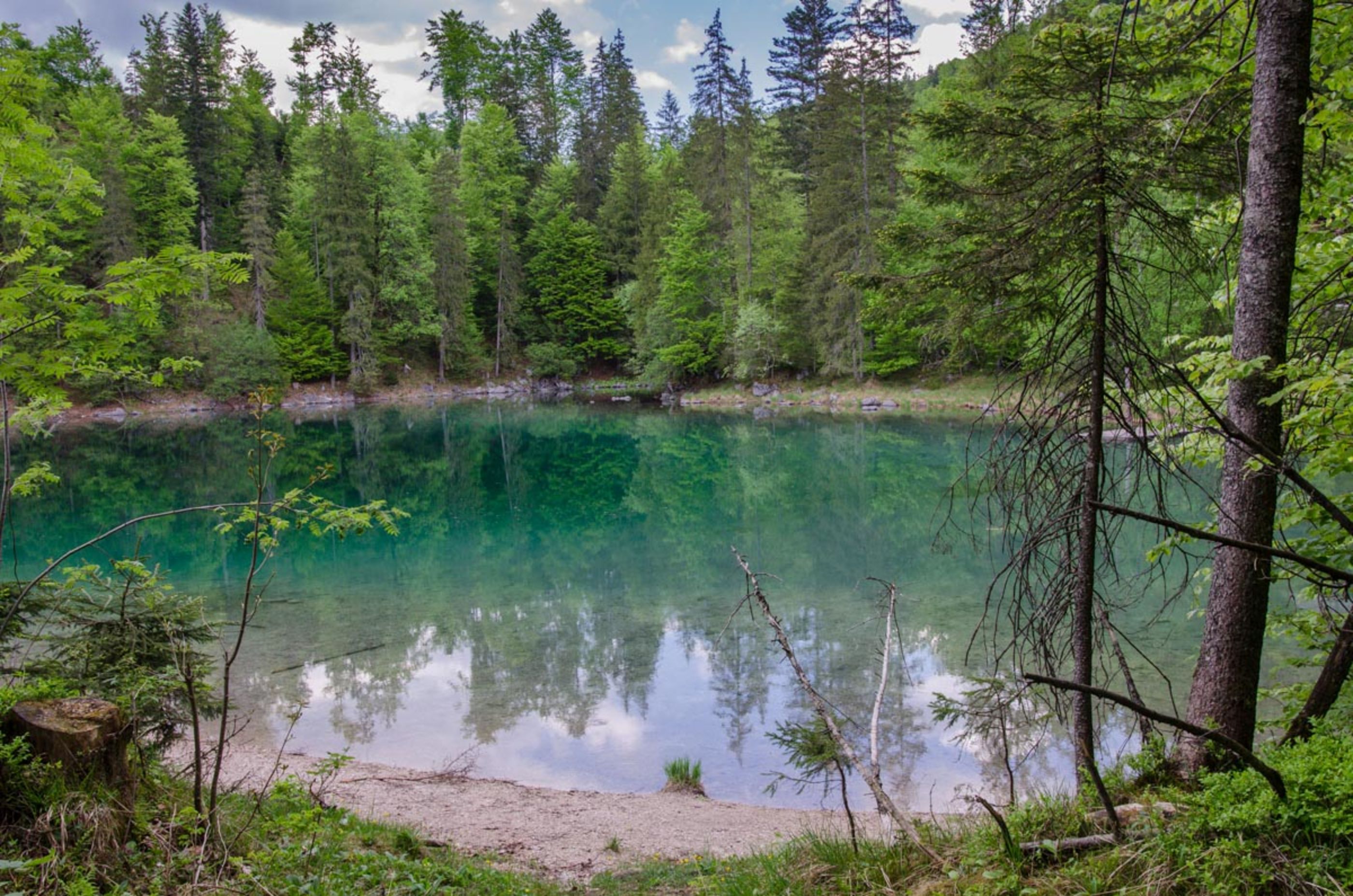 kleiner Ödsee, Seeufer mit Schotterbucht
