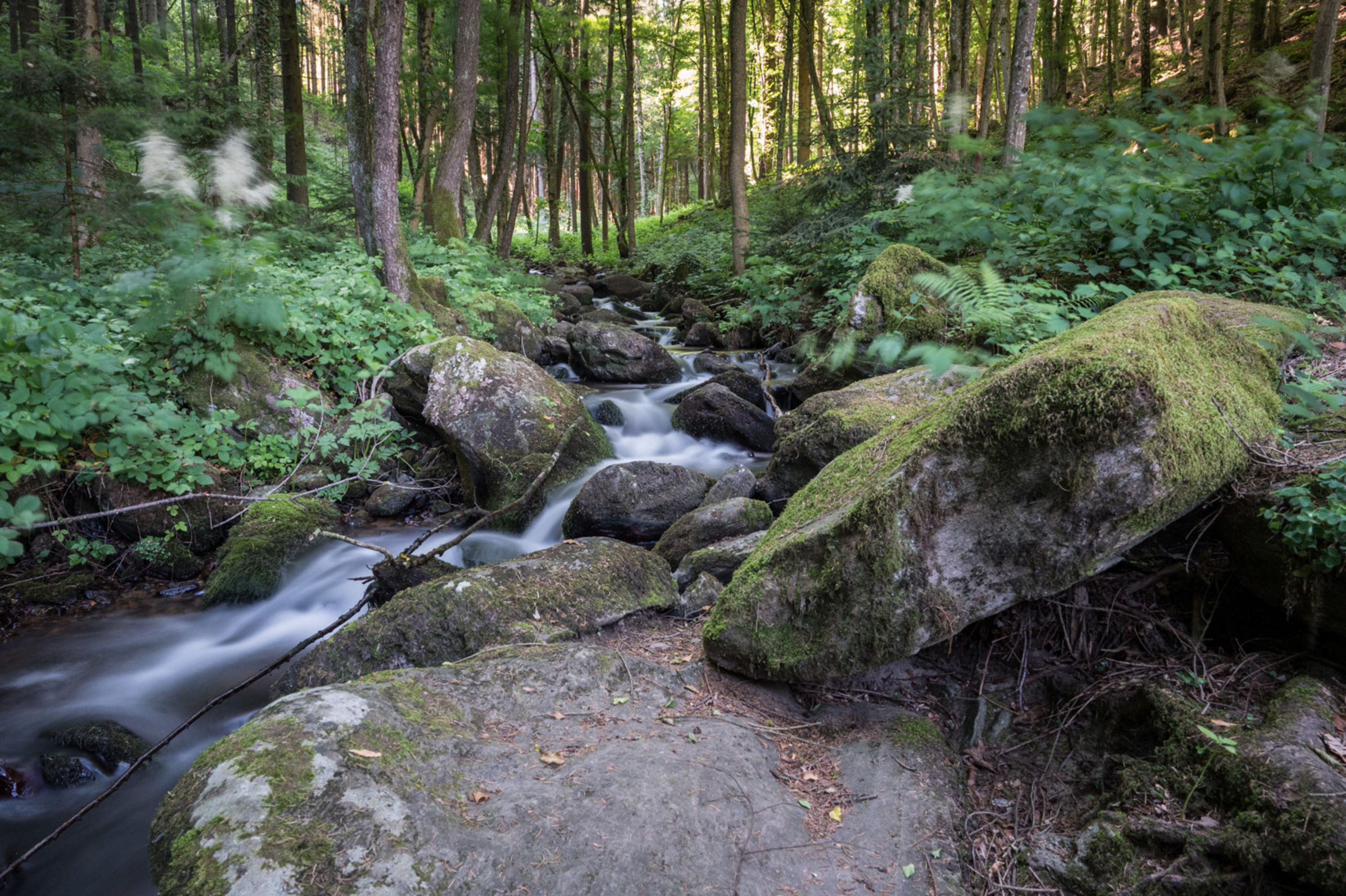 Steinbachklamm