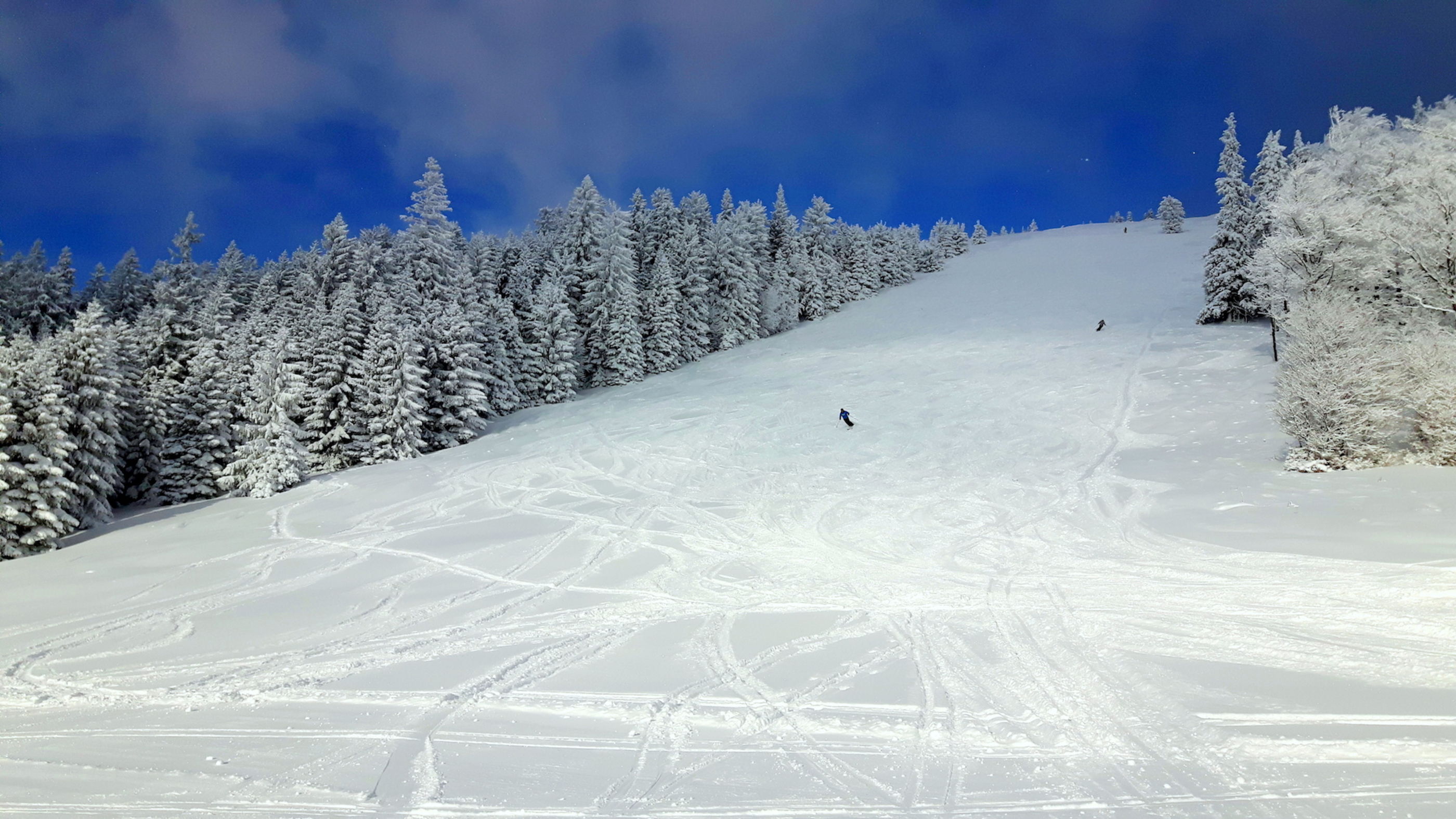 wintersport im Naturschneeparadies Unterberg
