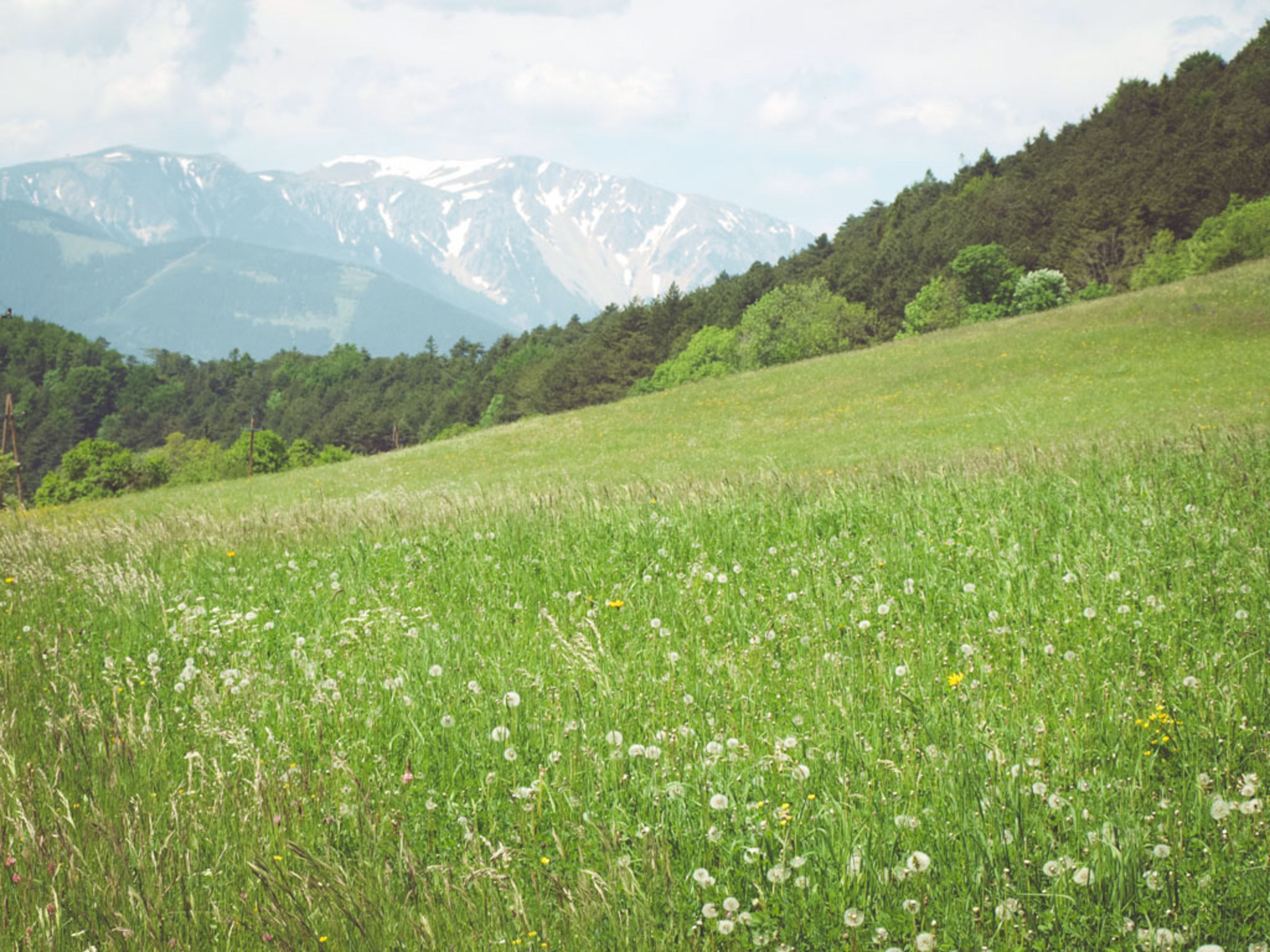 Wanderweg am Gutenmann mit Blick auf den Schneeberg