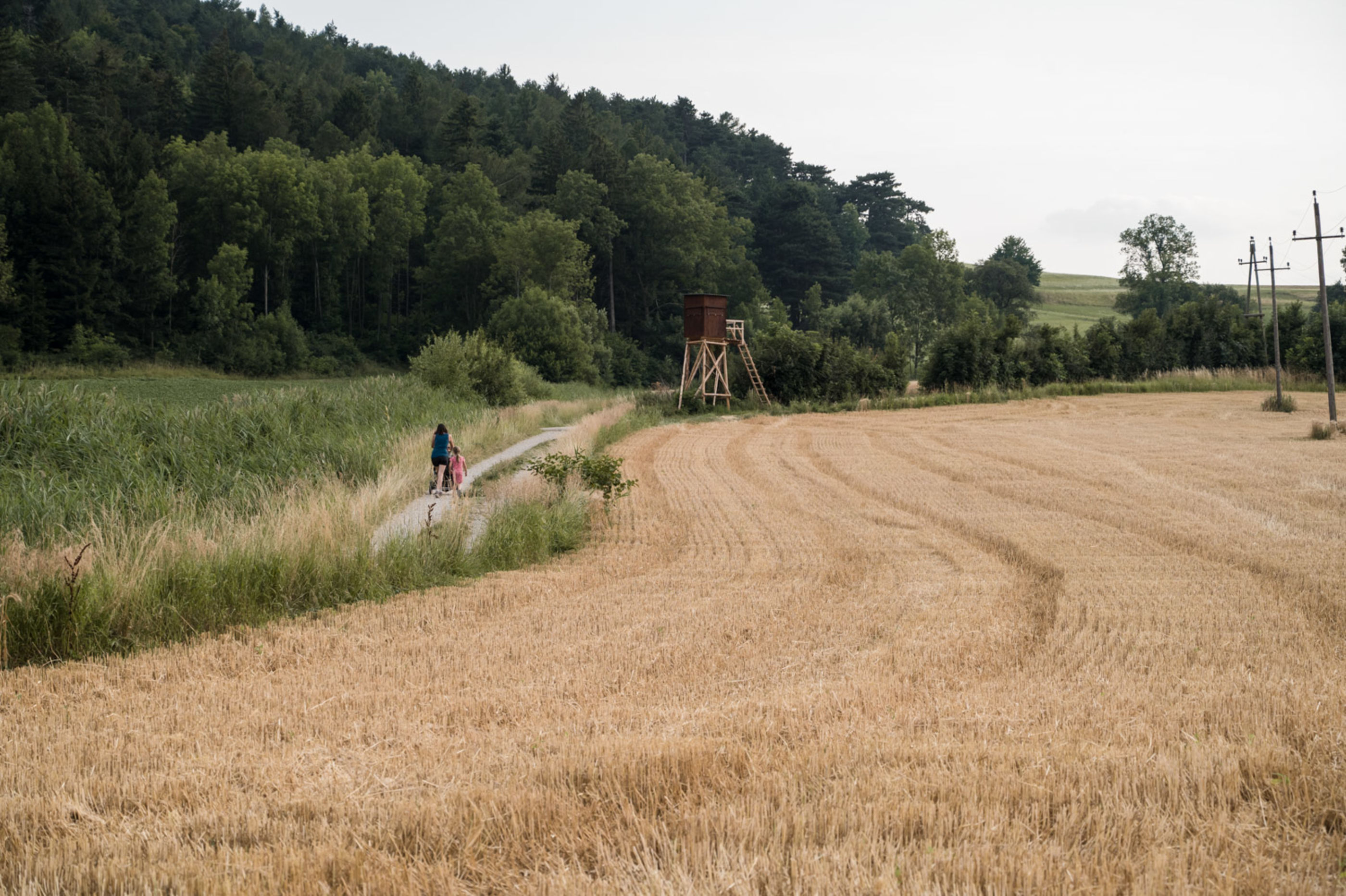 Spaziergang in den Feldern bei Zweiersdorf auf der sog. Fruchtfreunde Runde