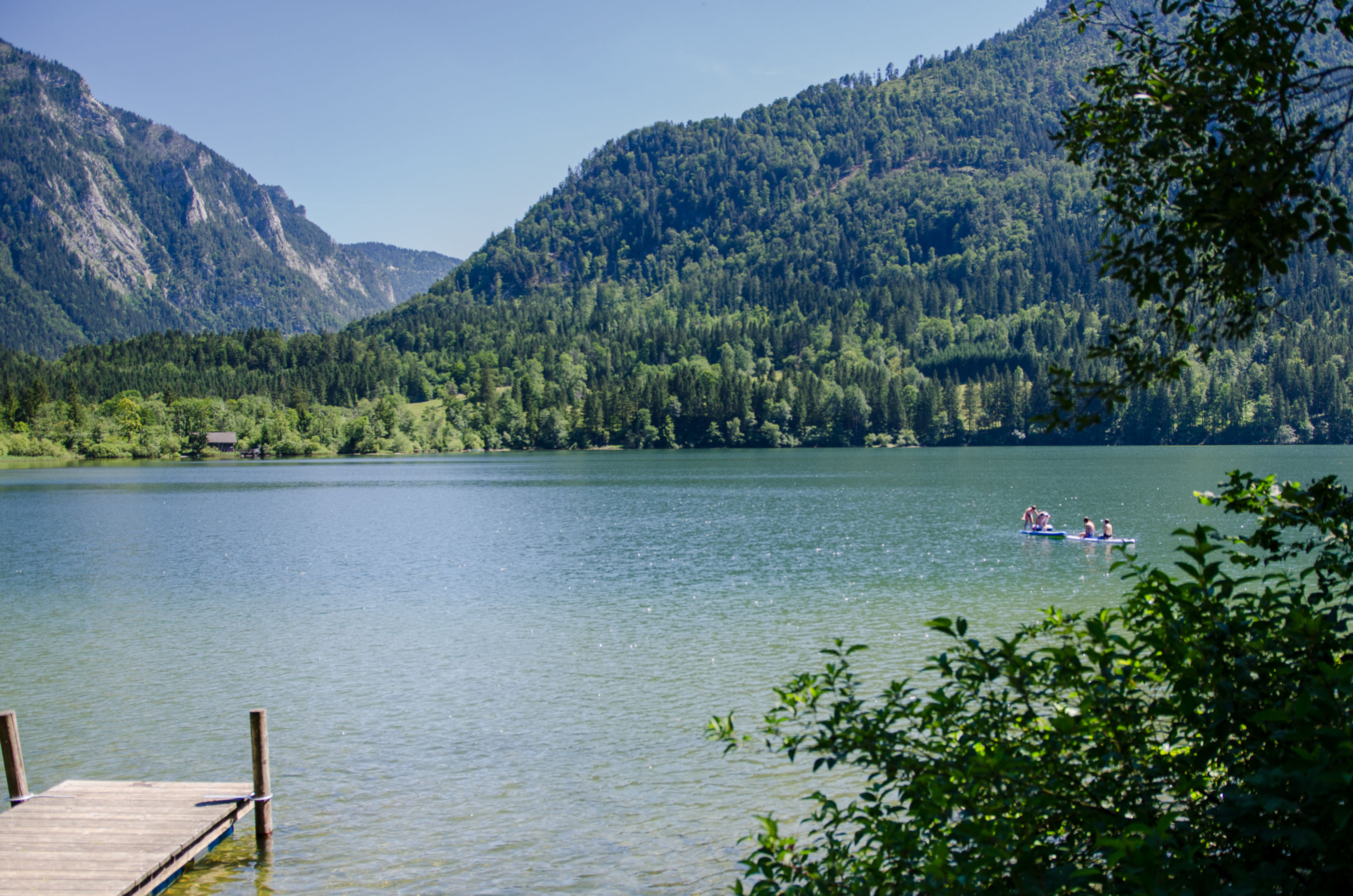 Blick auf den Lunzer See im Sommer