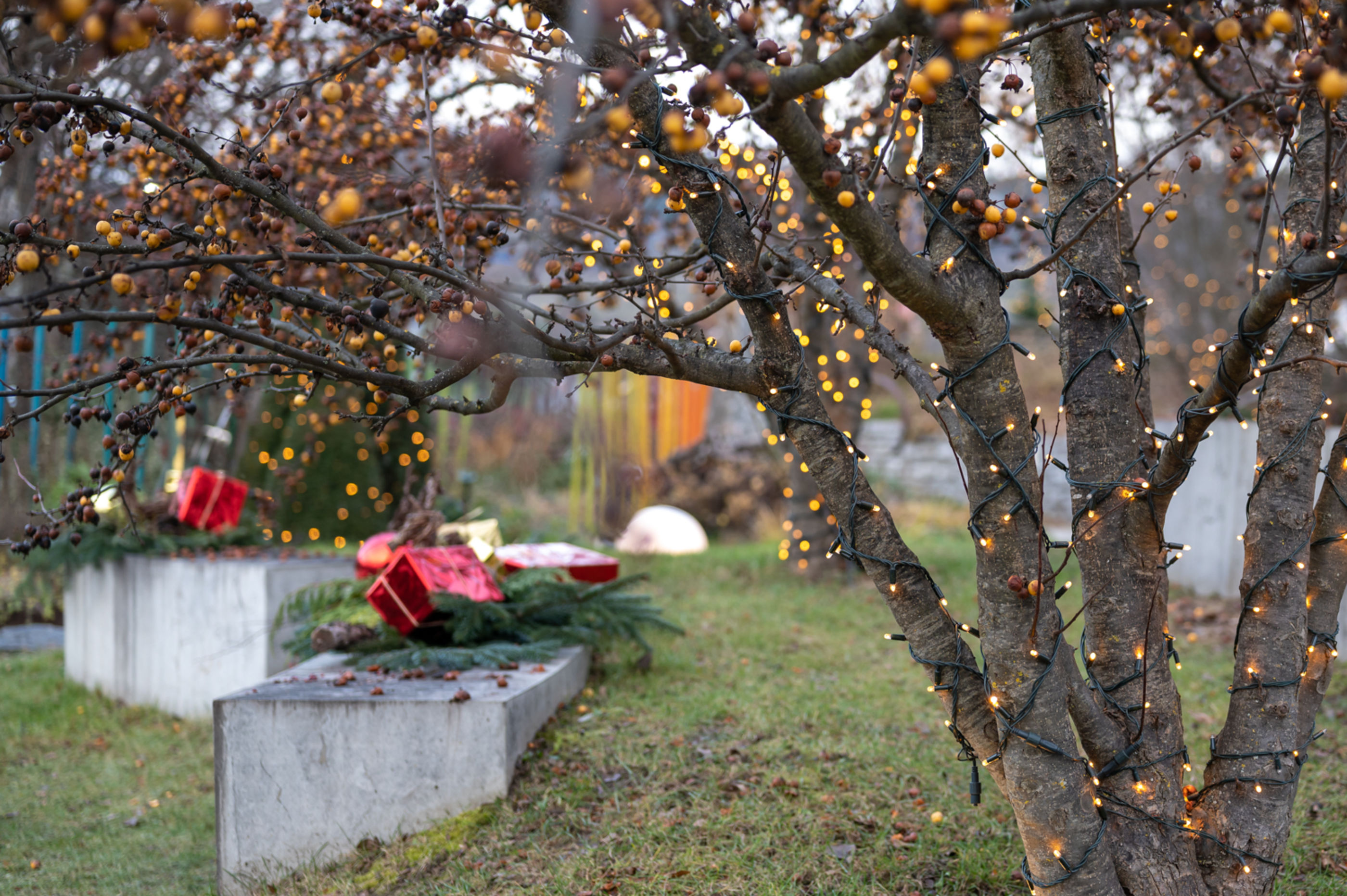 geschmückte Gärten, Weihnachtsmarkt in den Kittenberger Erlebnisgärten