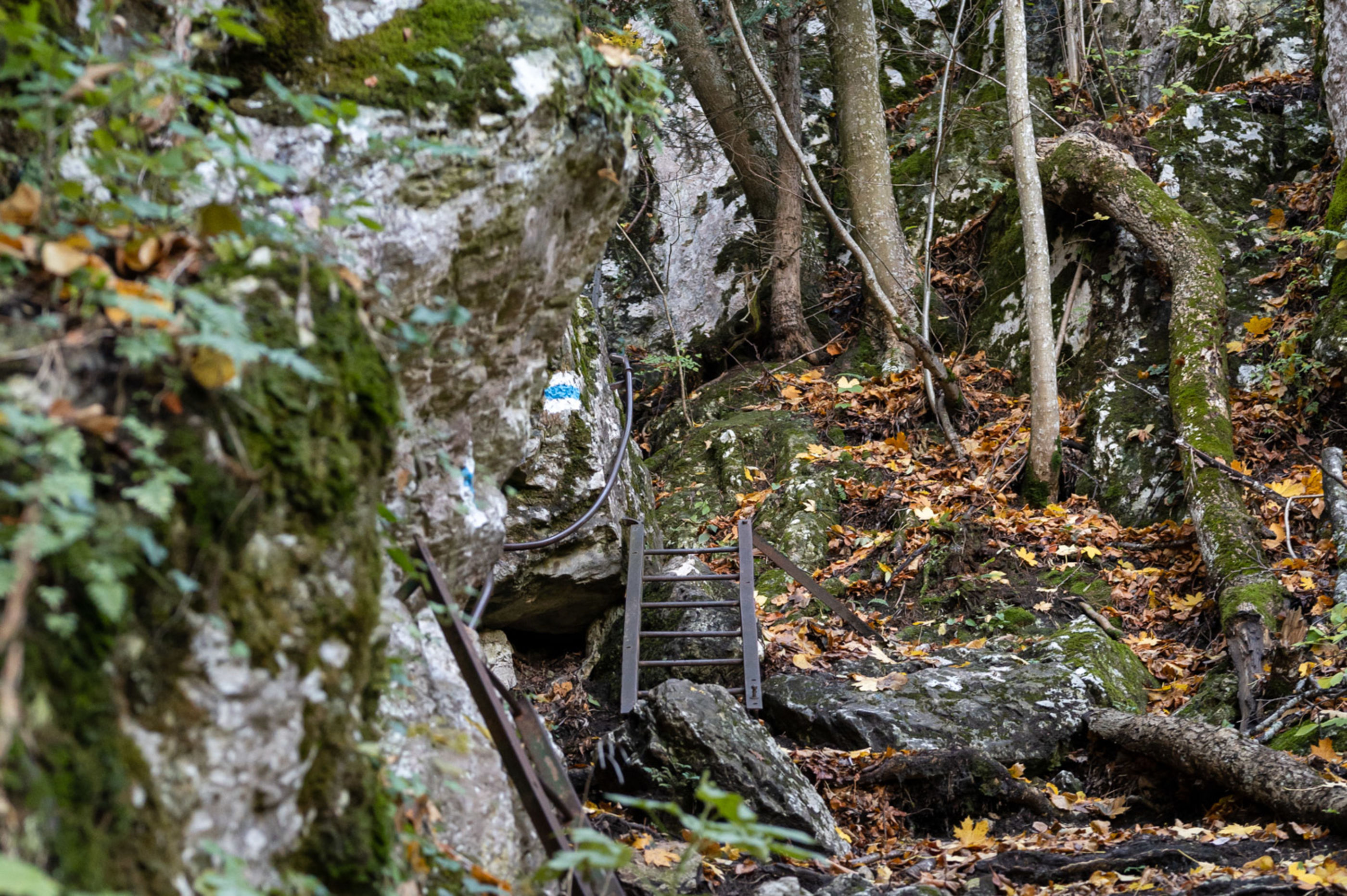 Leiter am Drobilsteig auf der Hohen Wand