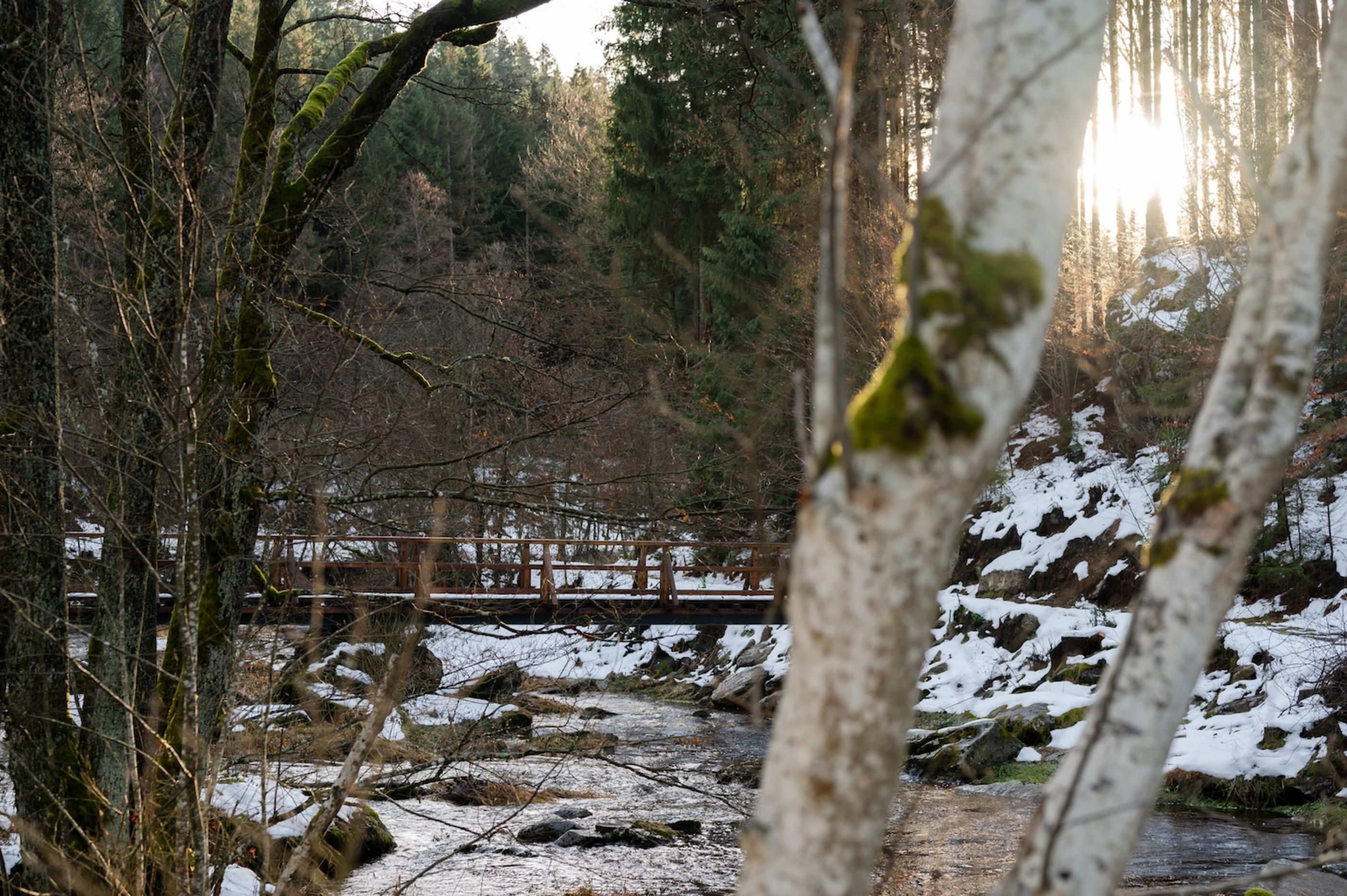 Wasserwunderweg bei Zwettl im Winter