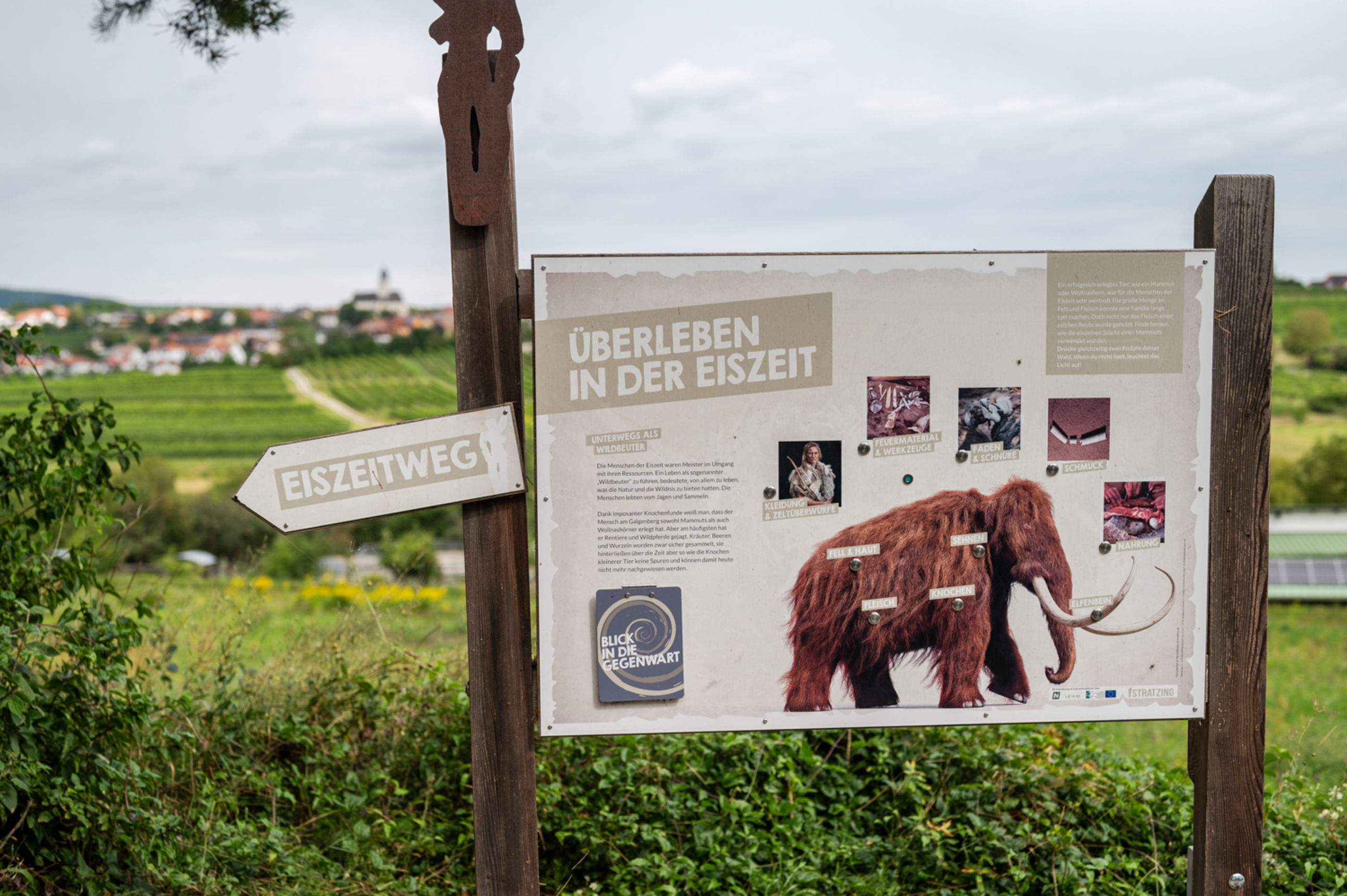 Infotafel am Eiszeitweg in Stratzing, Kremstal Eiszeitweg in Stratzing, Informationstafel