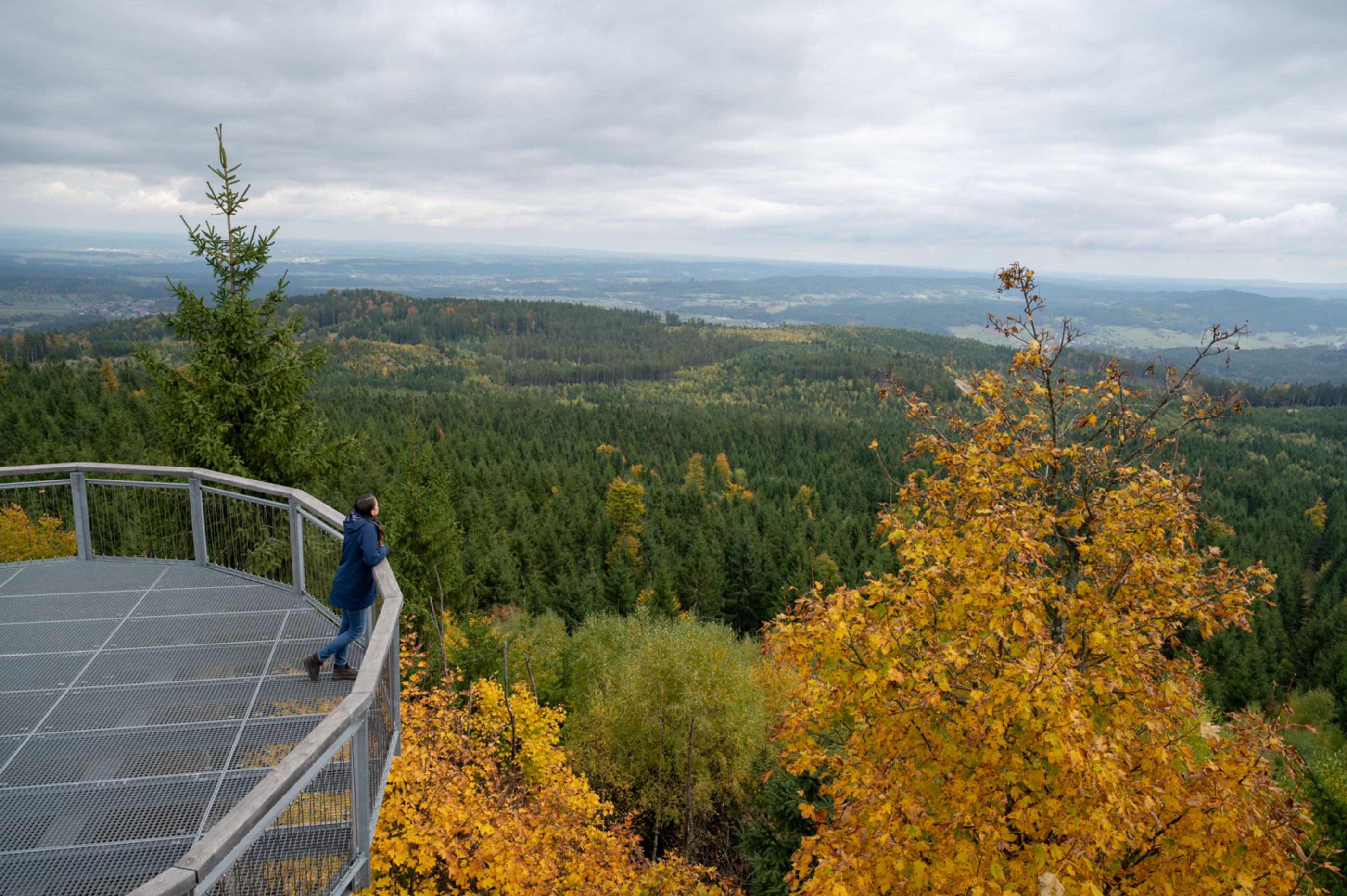 Aussicht auf der Nebelstein Warte im Waldviertel, Erlebnisweg Nebelstein