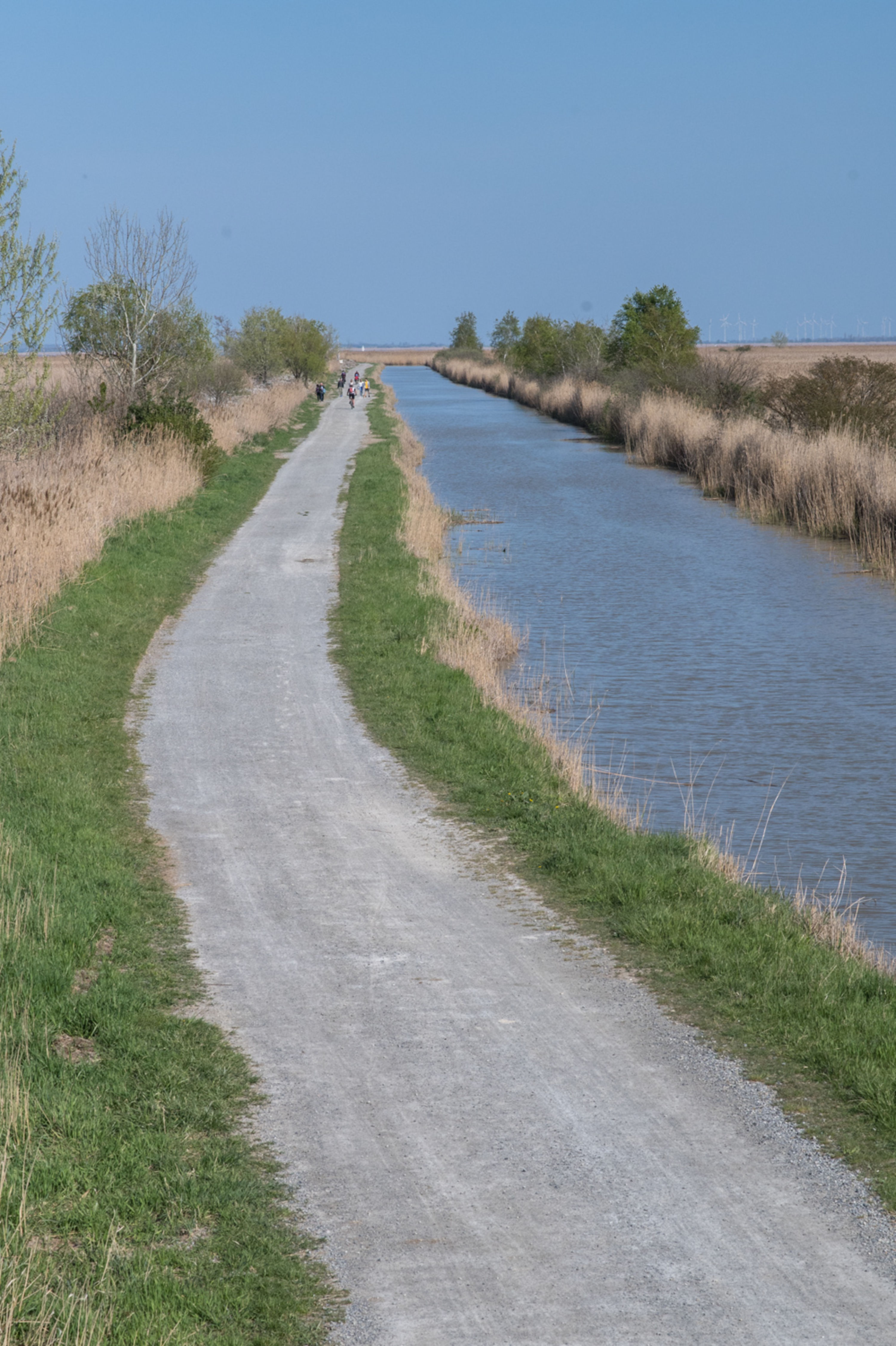 Schilflehrpfad in Purbach am Neusiedler See