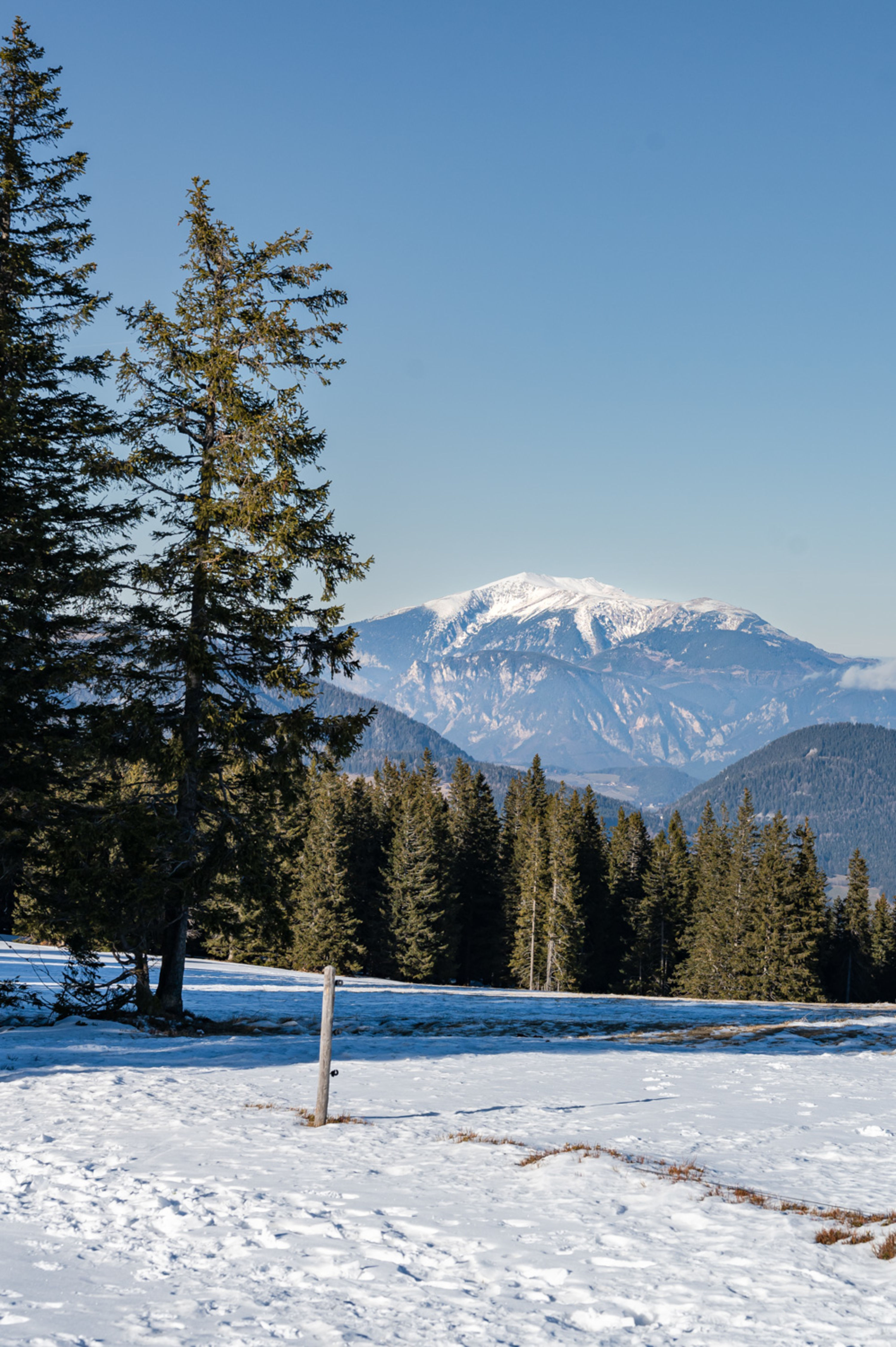 Blick auf den Schneeberg auf der 3 Schwaigen Wanderung am Wechsel im Winter