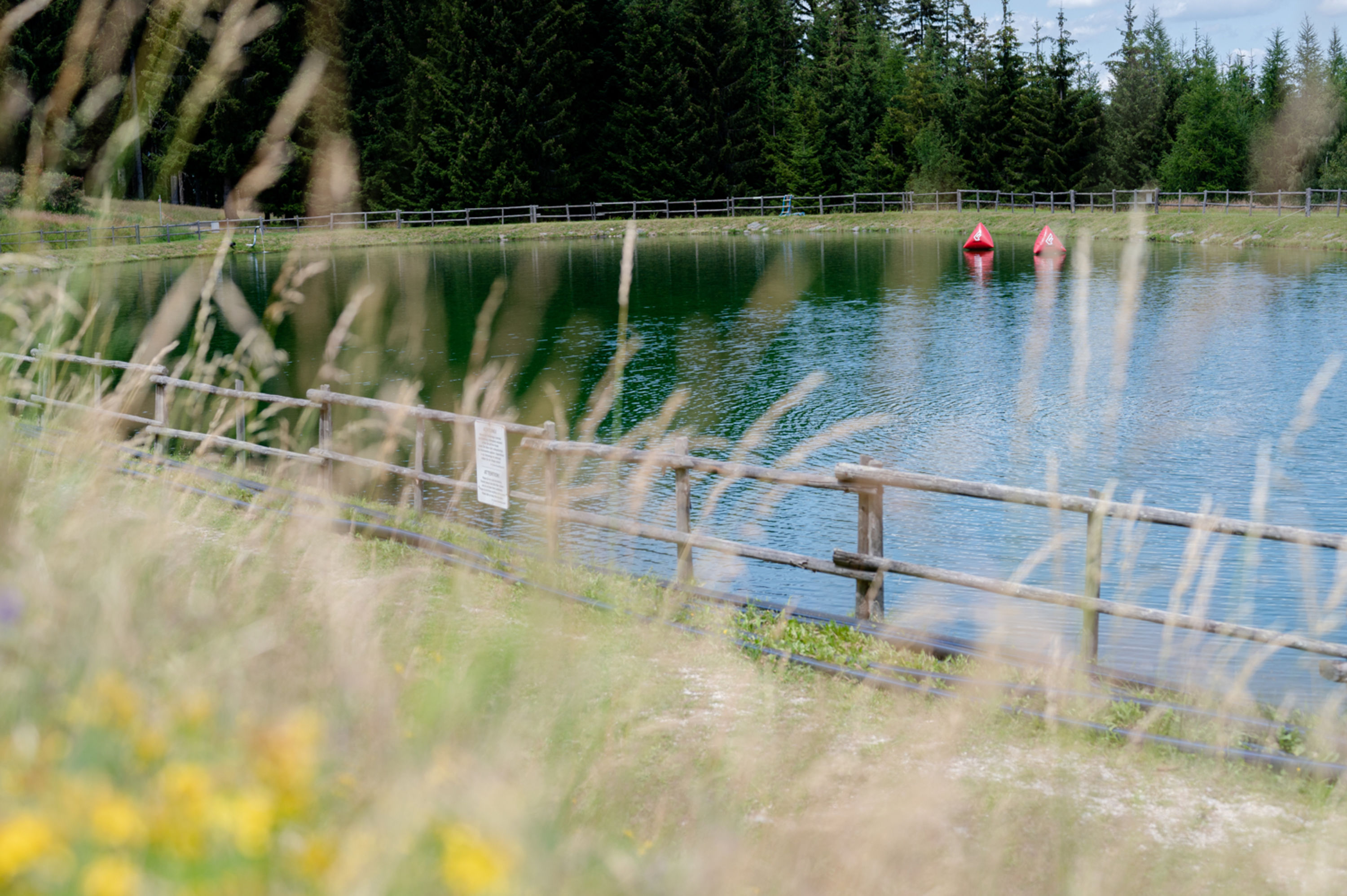 Teich am Ameisenpfad St. Corona