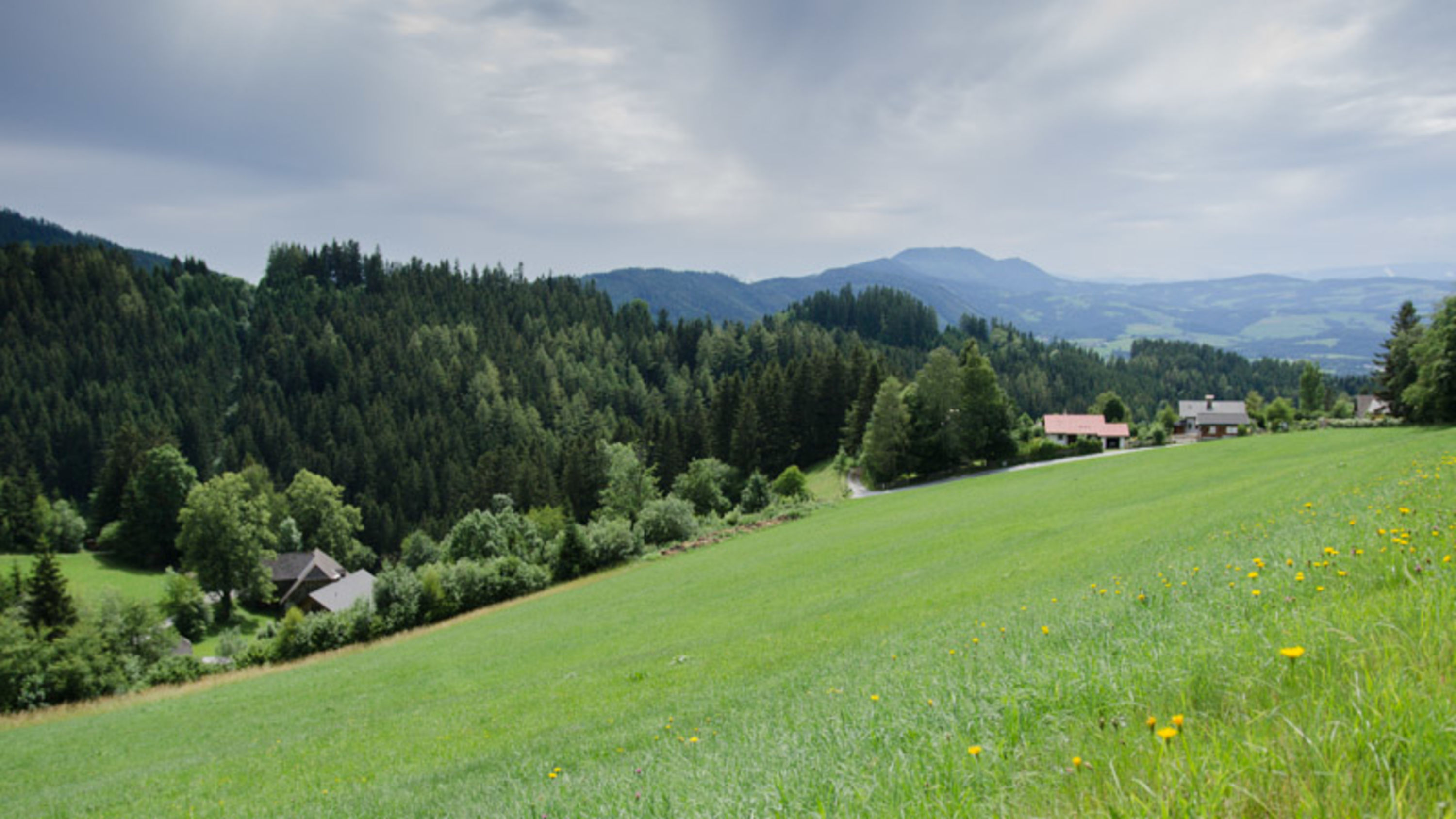 Aussicht beim Landhotel Spreitzhofer im Almenland bei St. Kathrein am Offenegg
