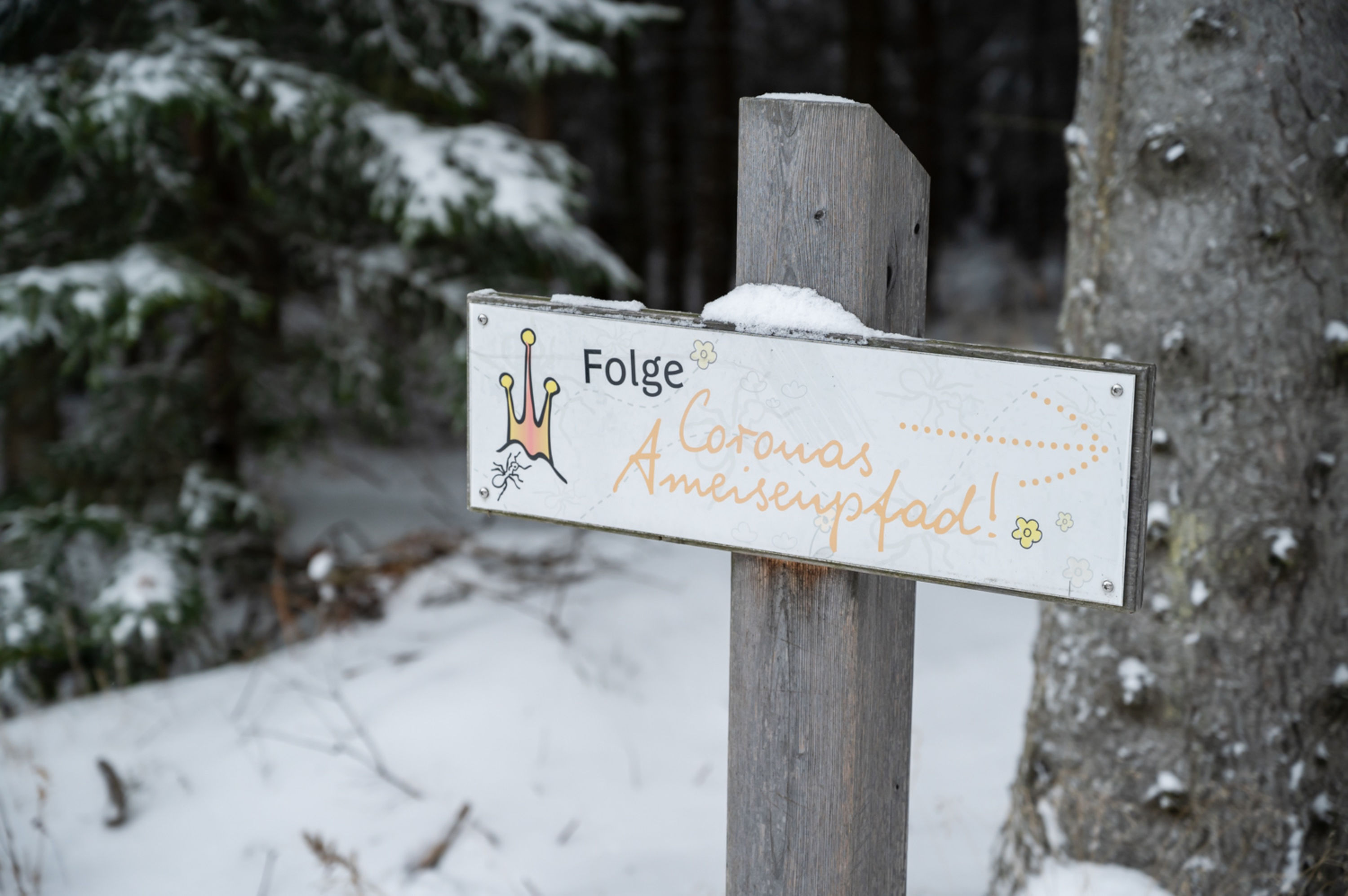 Ameisenpfad Winter Beschilderung Ameisenpfad im Winter