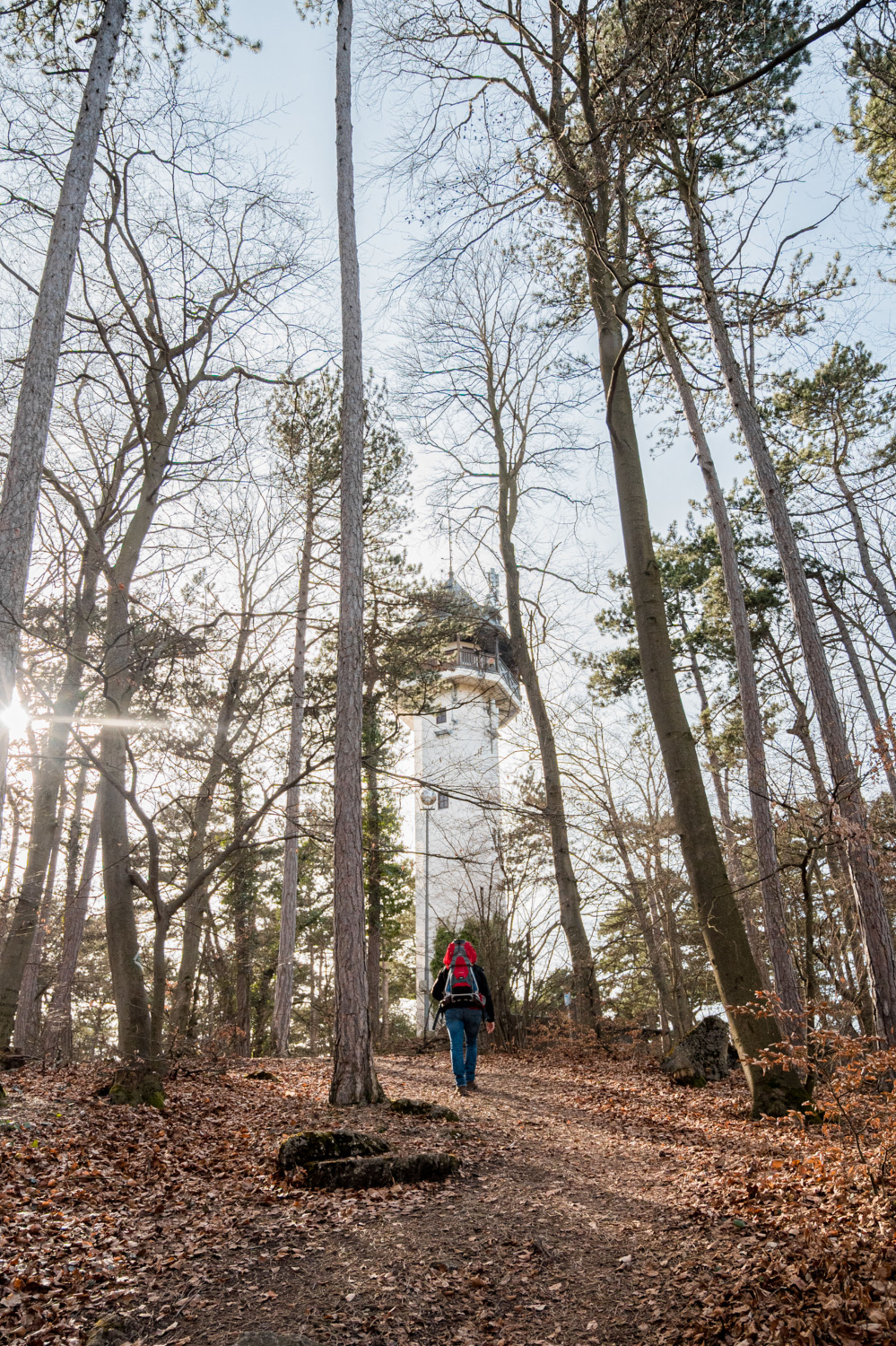 Wanderung am Guglzipf zur Aussichtswarte und der Waldhütte