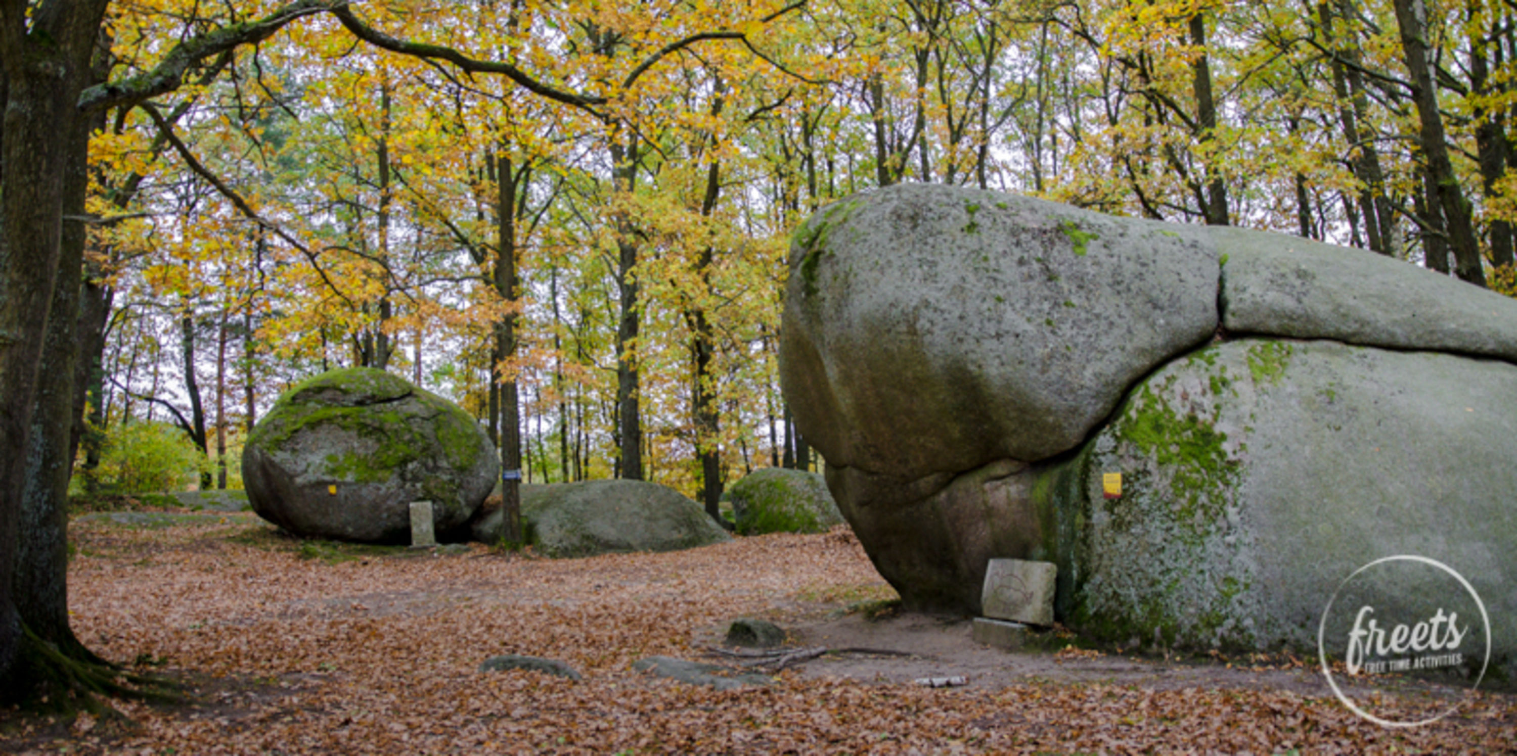 Blockheide Gmünd Wackelstein