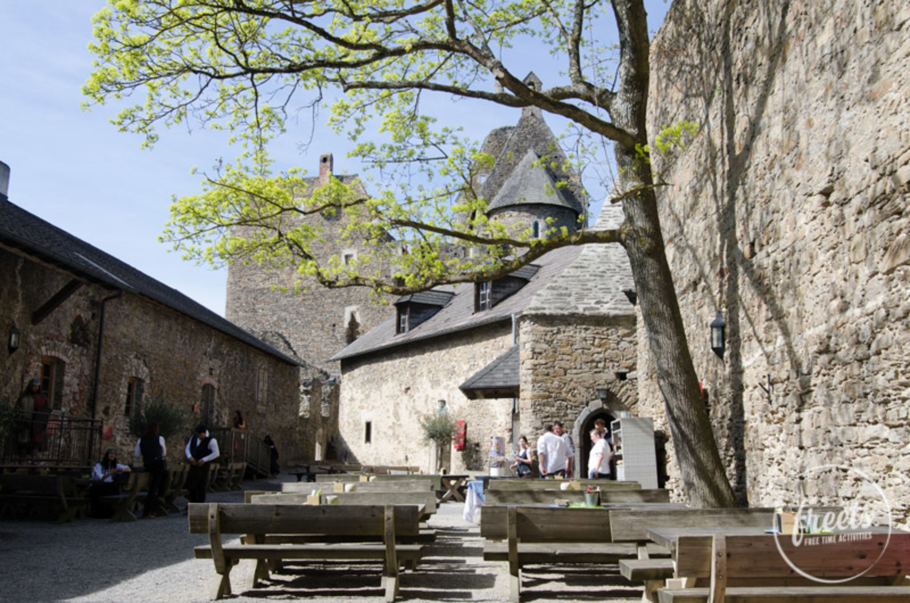 Ruine Aggstein, Burghof