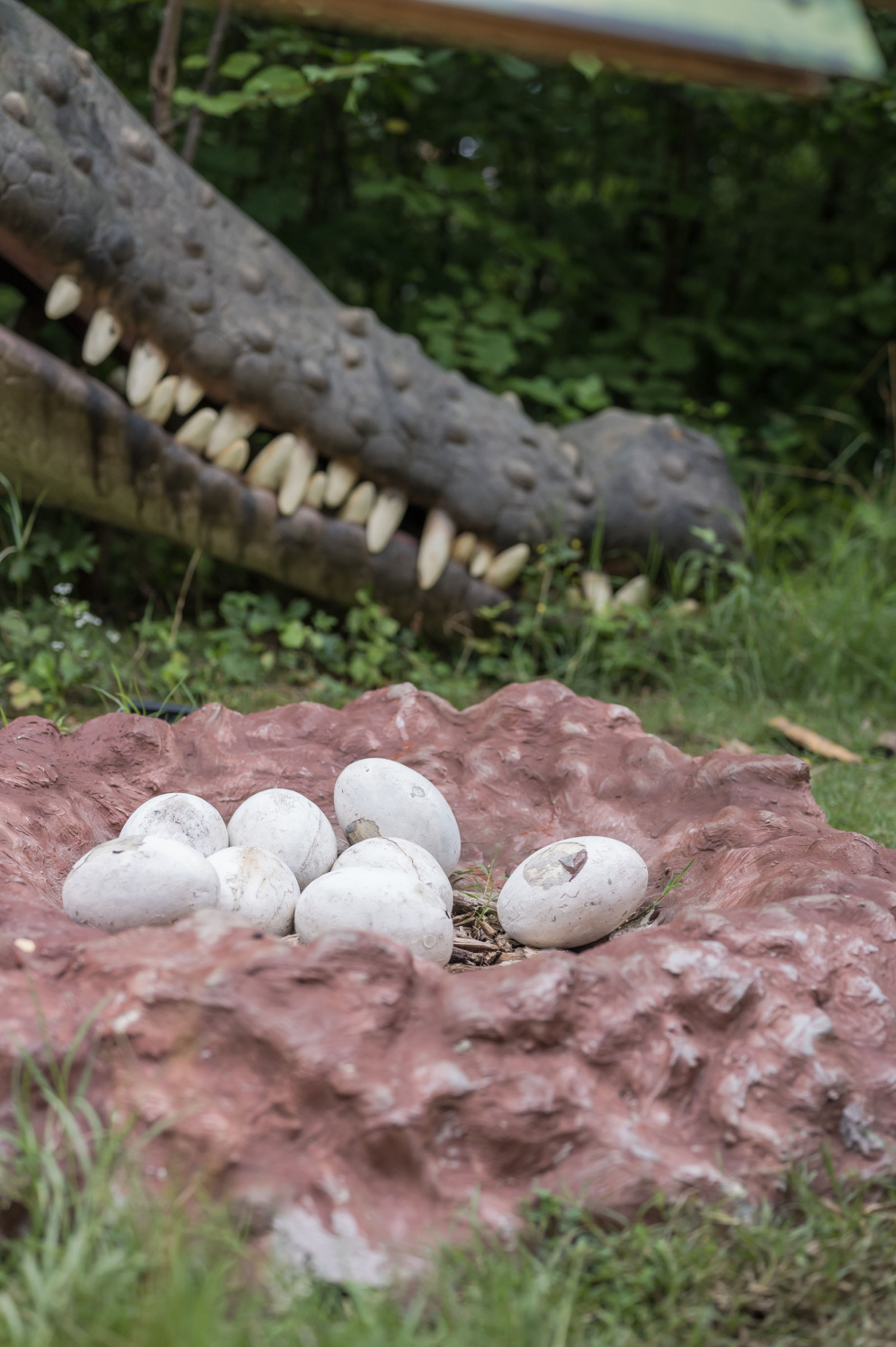 Eier, Dinopark Tattendorf