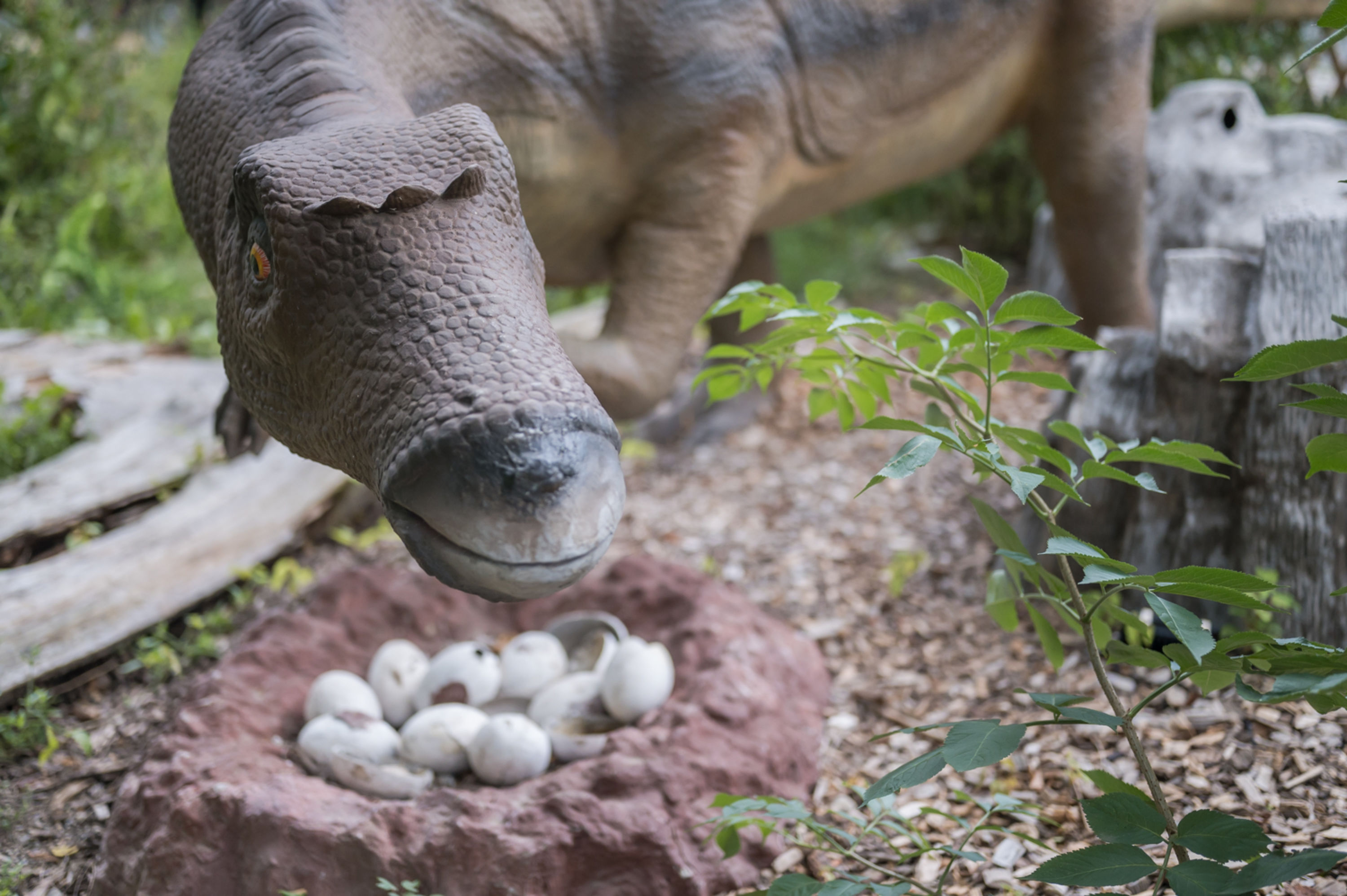 Dinosaurier im Dinopark Tattendorf