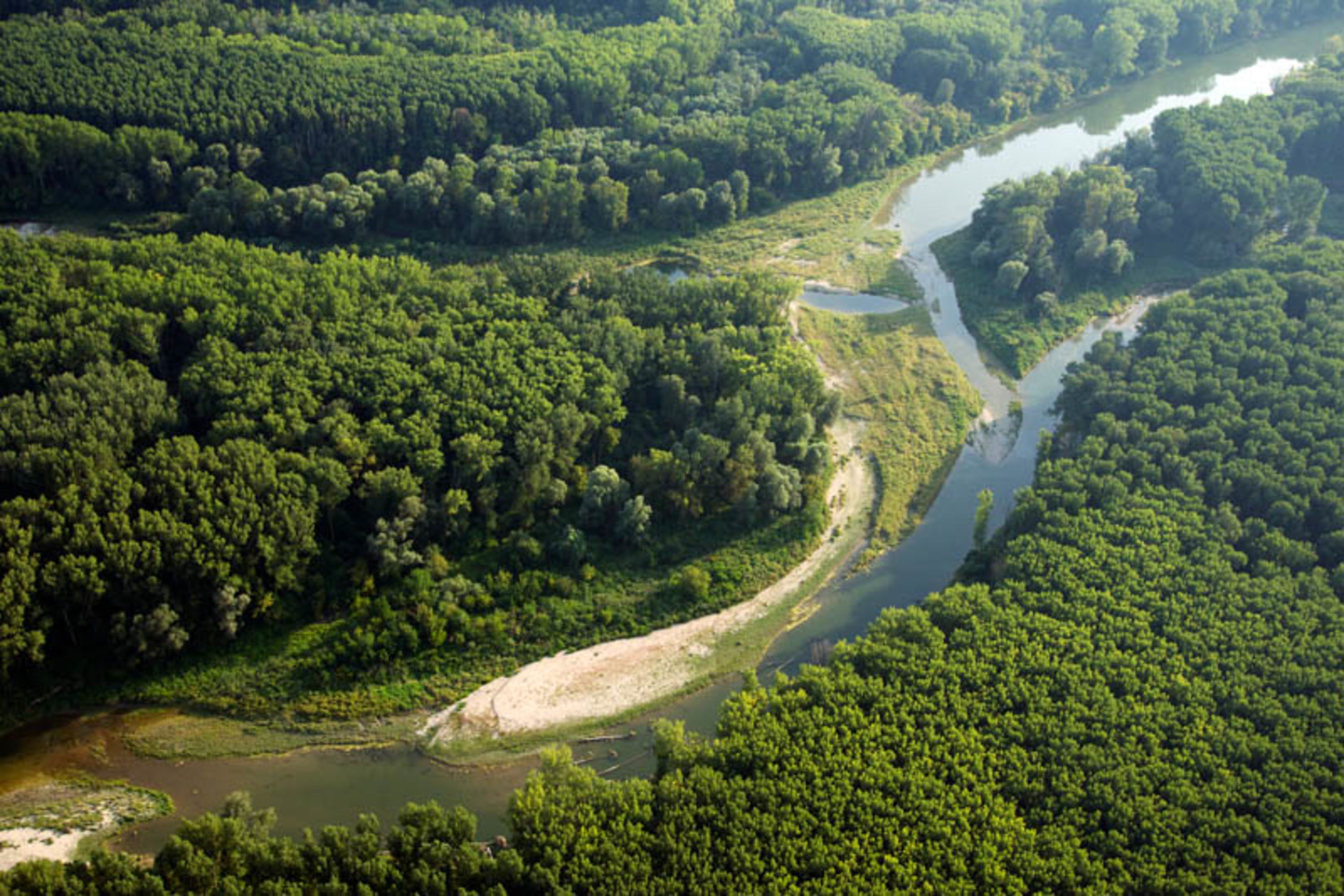 Landschaft der Donau Auen von oben