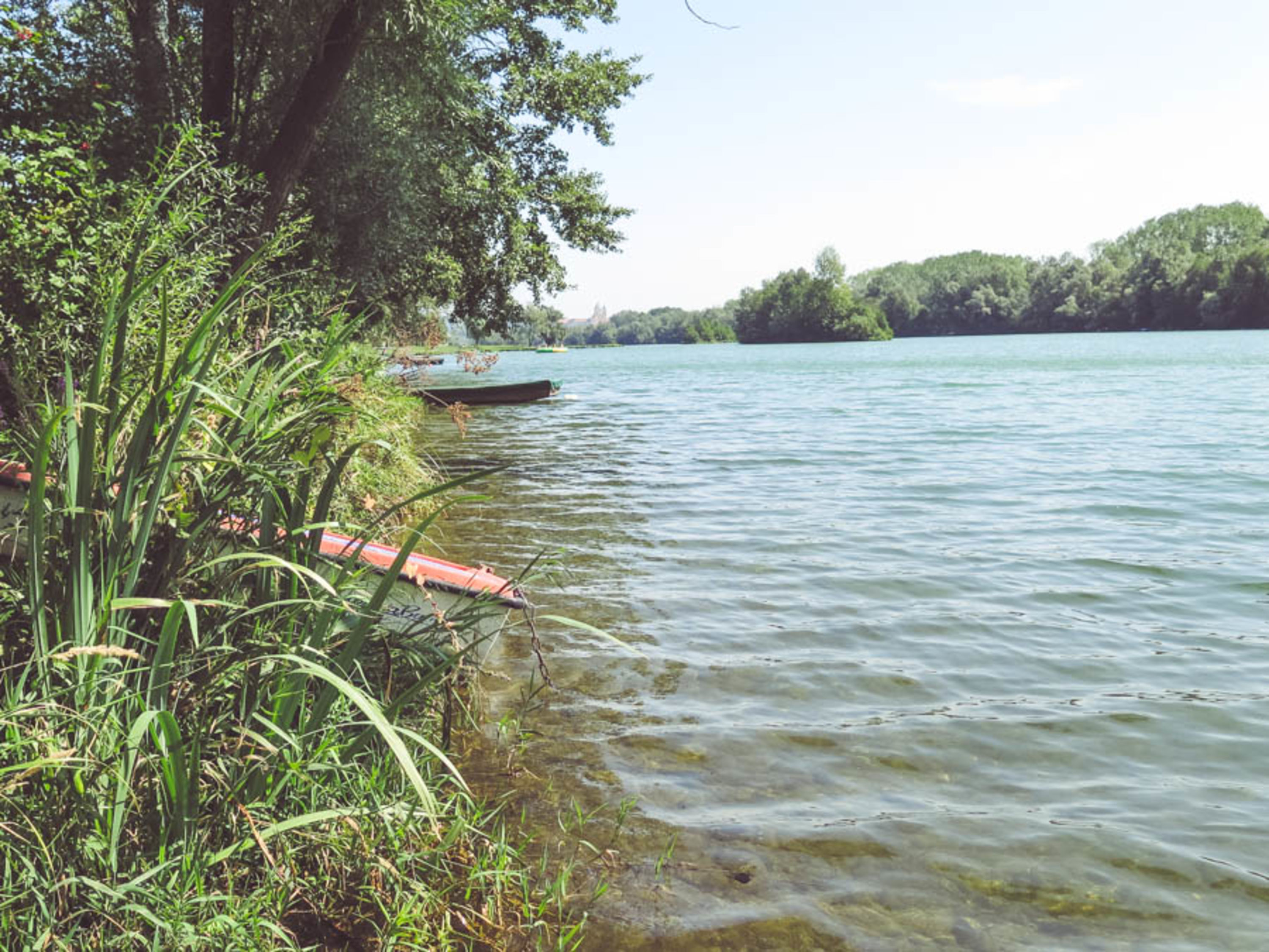 Donausee Weitenegg vor der Liegewiese